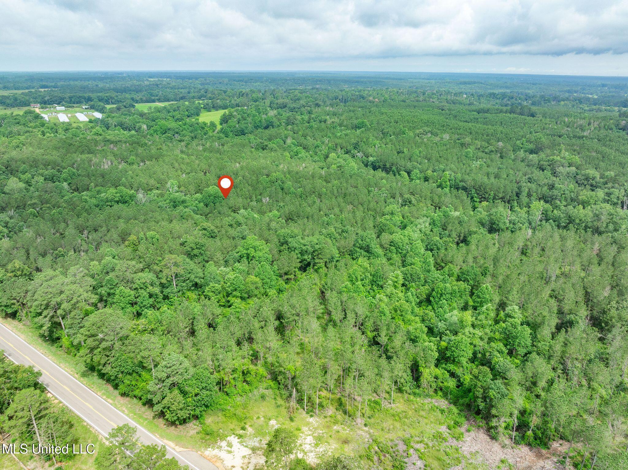 40 Acres Hwy 35 Property Photo 27