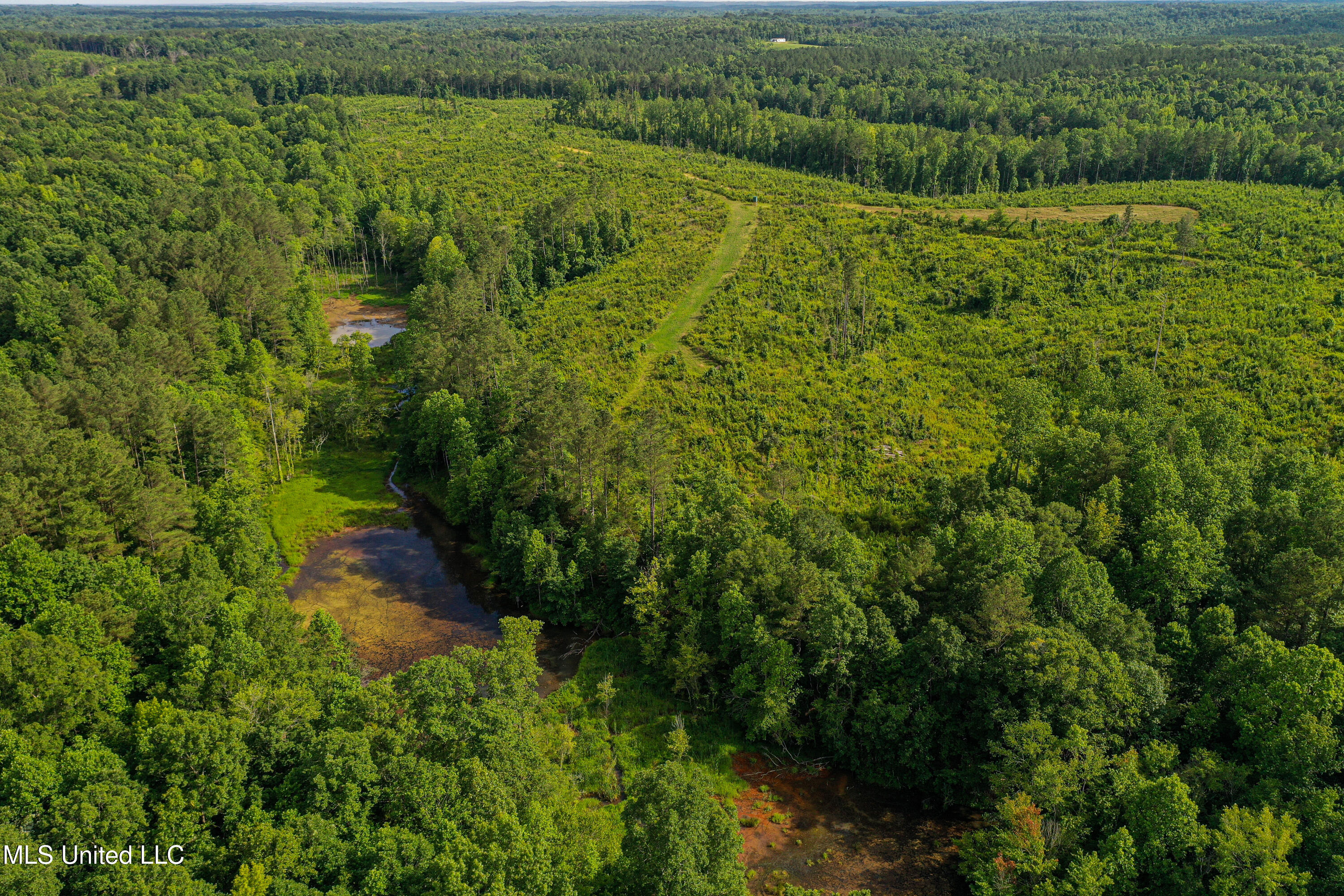 0002 Garrett Creek Loop Property Photo 3