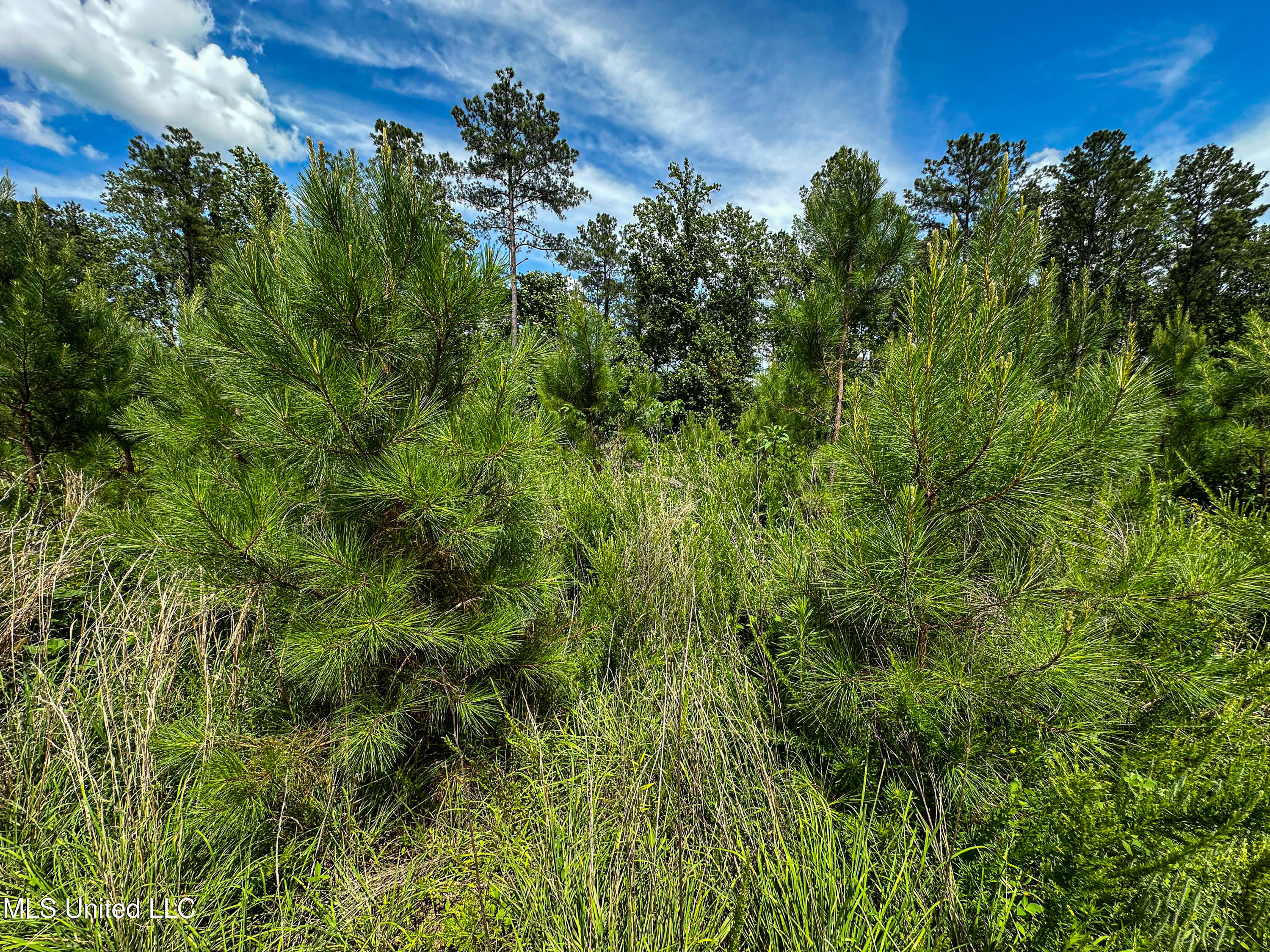 0002 Garrett Creek Loop Property Photo 5