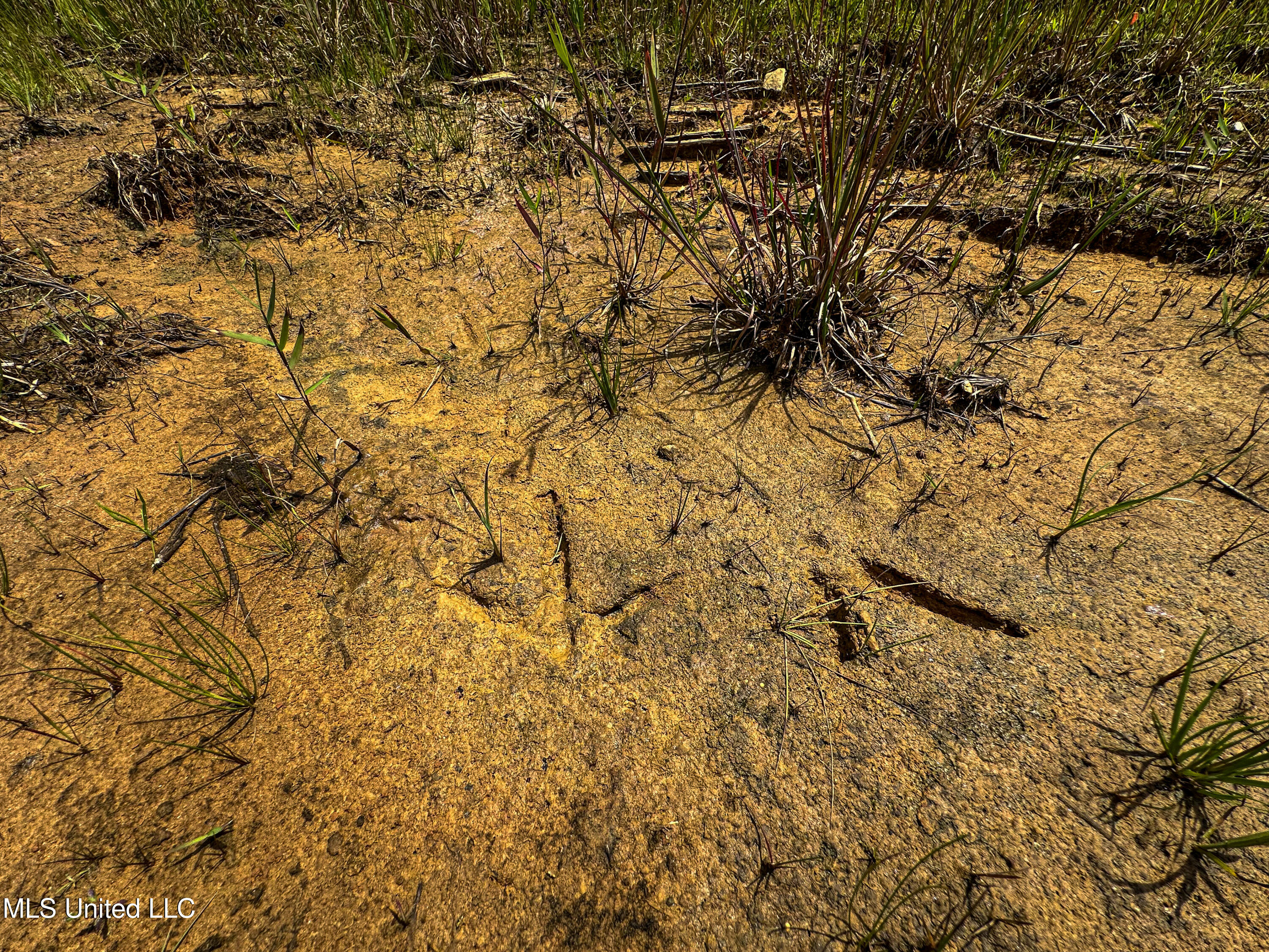 0002 Garrett Creek Loop Property Photo 8