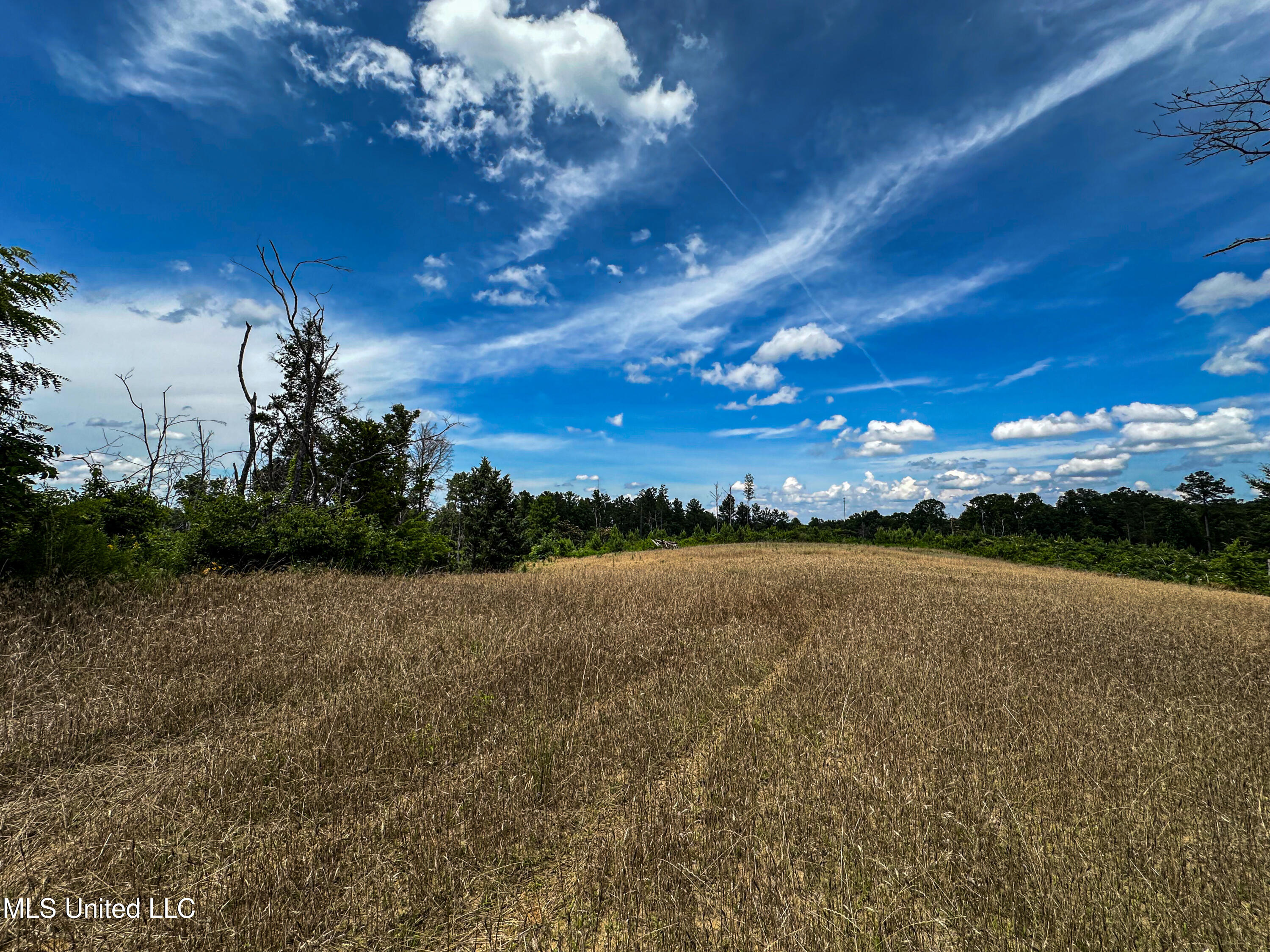 0002 Garrett Creek Loop Property Photo 10