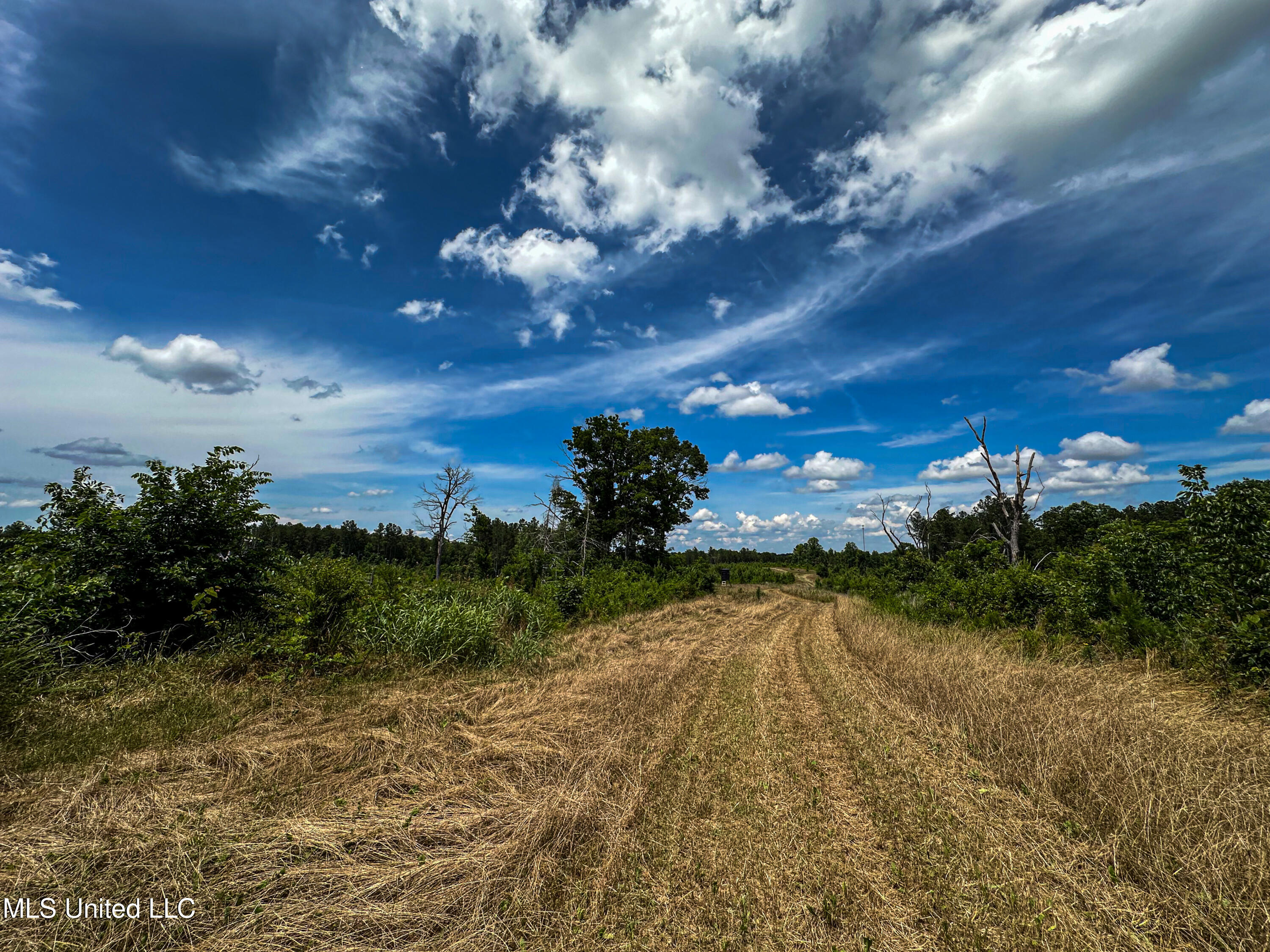 0002 Garrett Creek Loop Property Photo 12