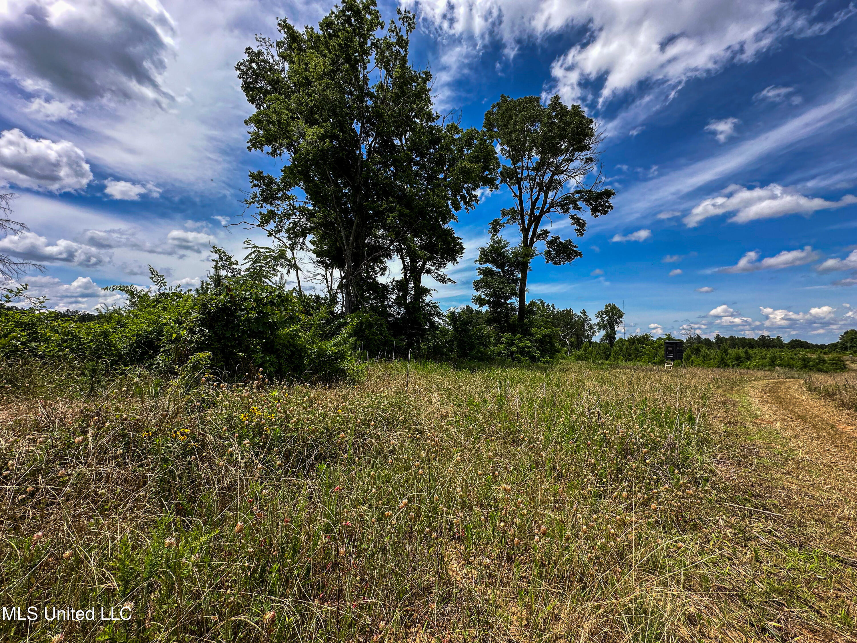 0002 Garrett Creek Loop Property Photo 14