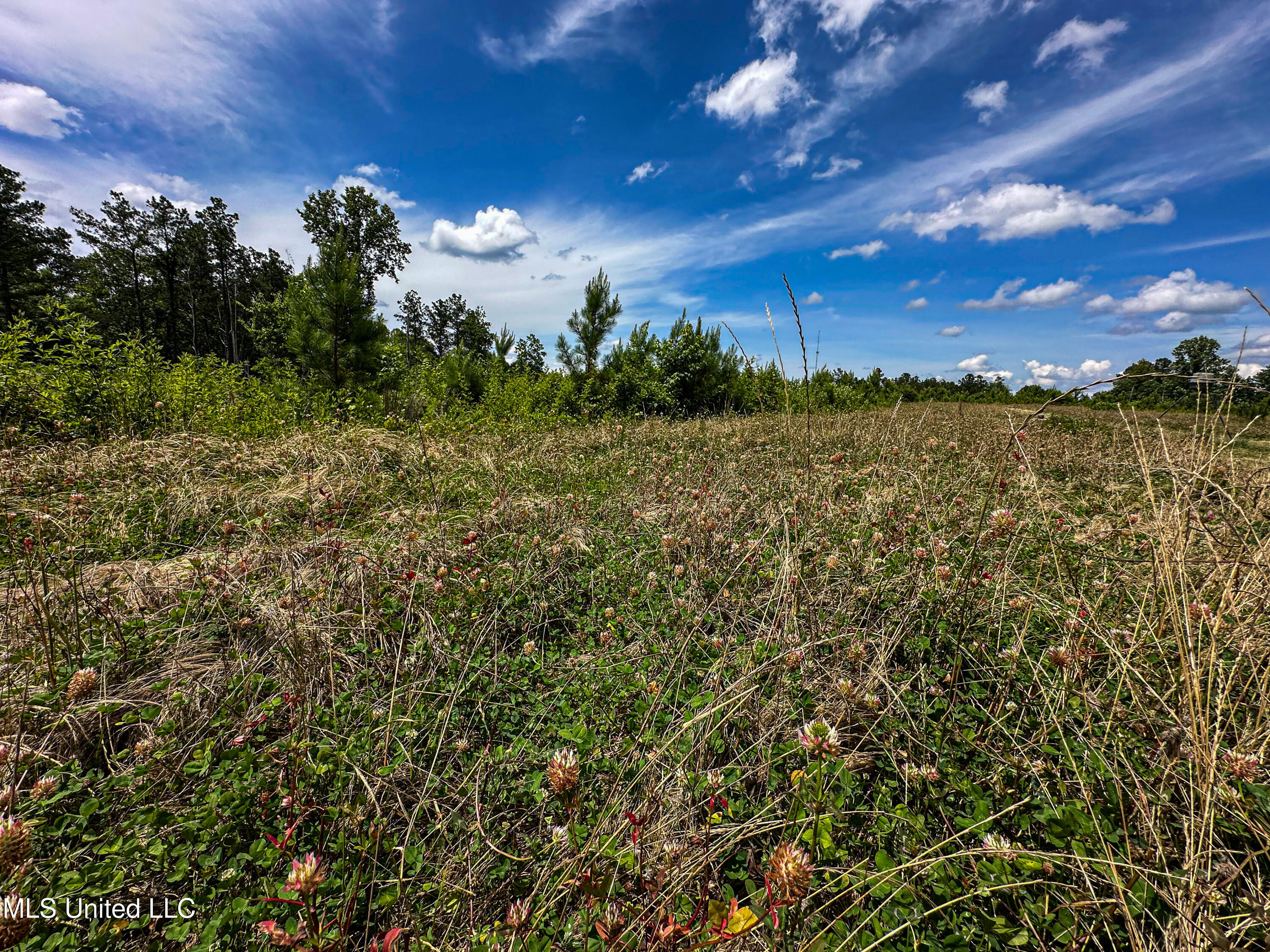 0002 Garrett Creek Loop Property Photo 16