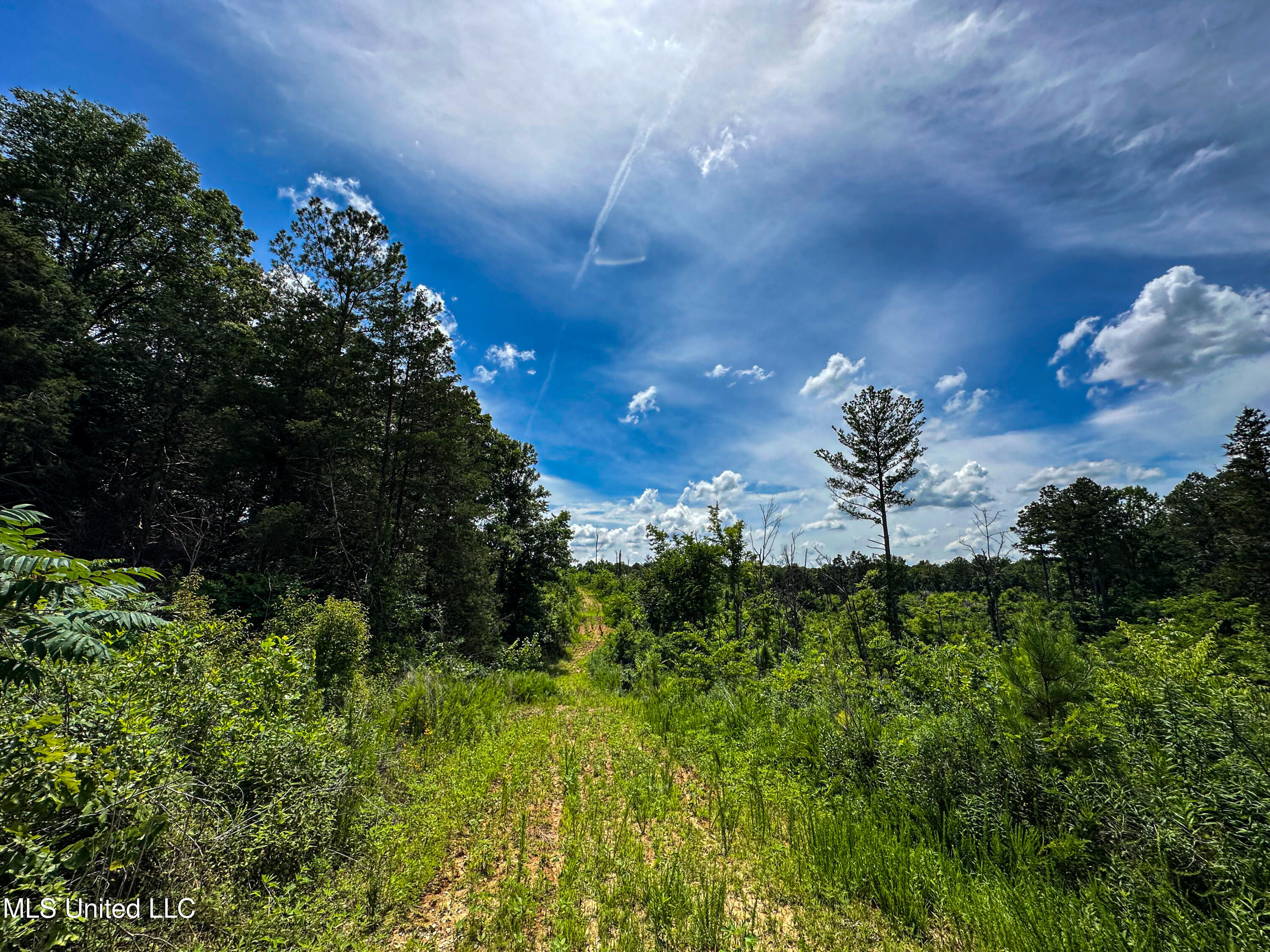 0002 Garrett Creek Loop Property Photo 22
