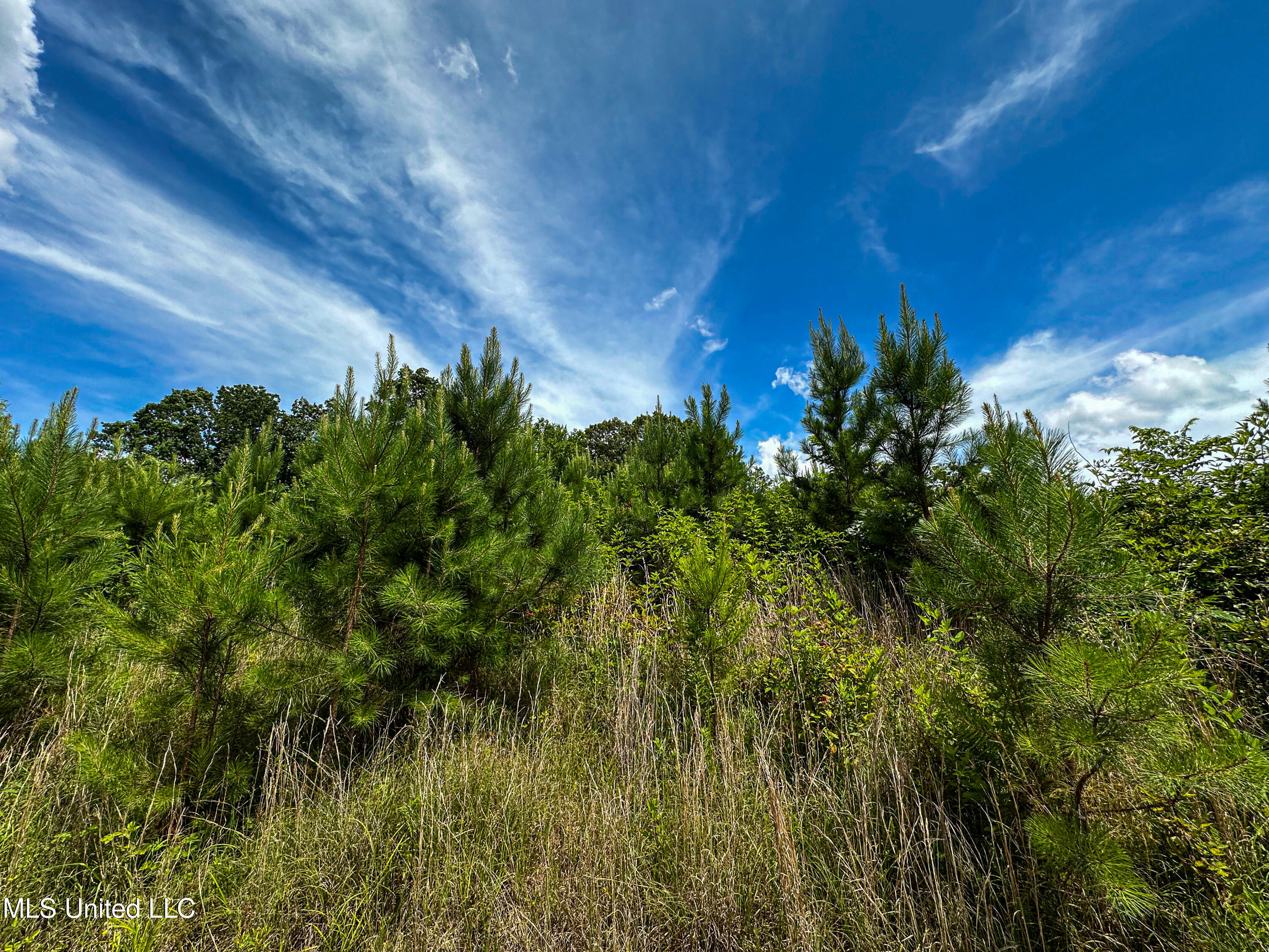 0002 Garrett Creek Loop Property Photo 24