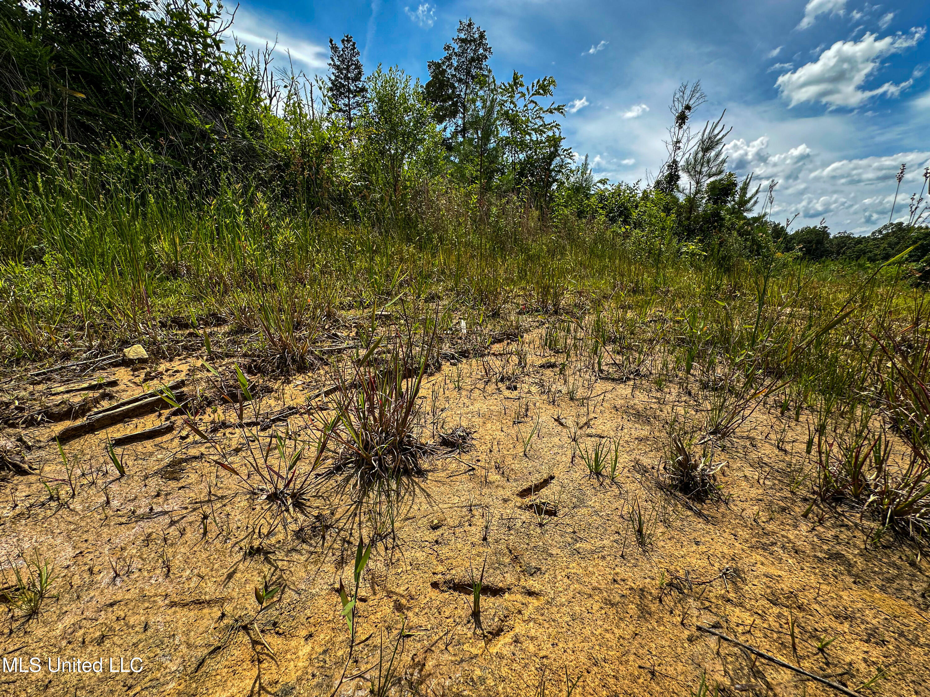0002 Garrett Creek Loop Property Photo 26