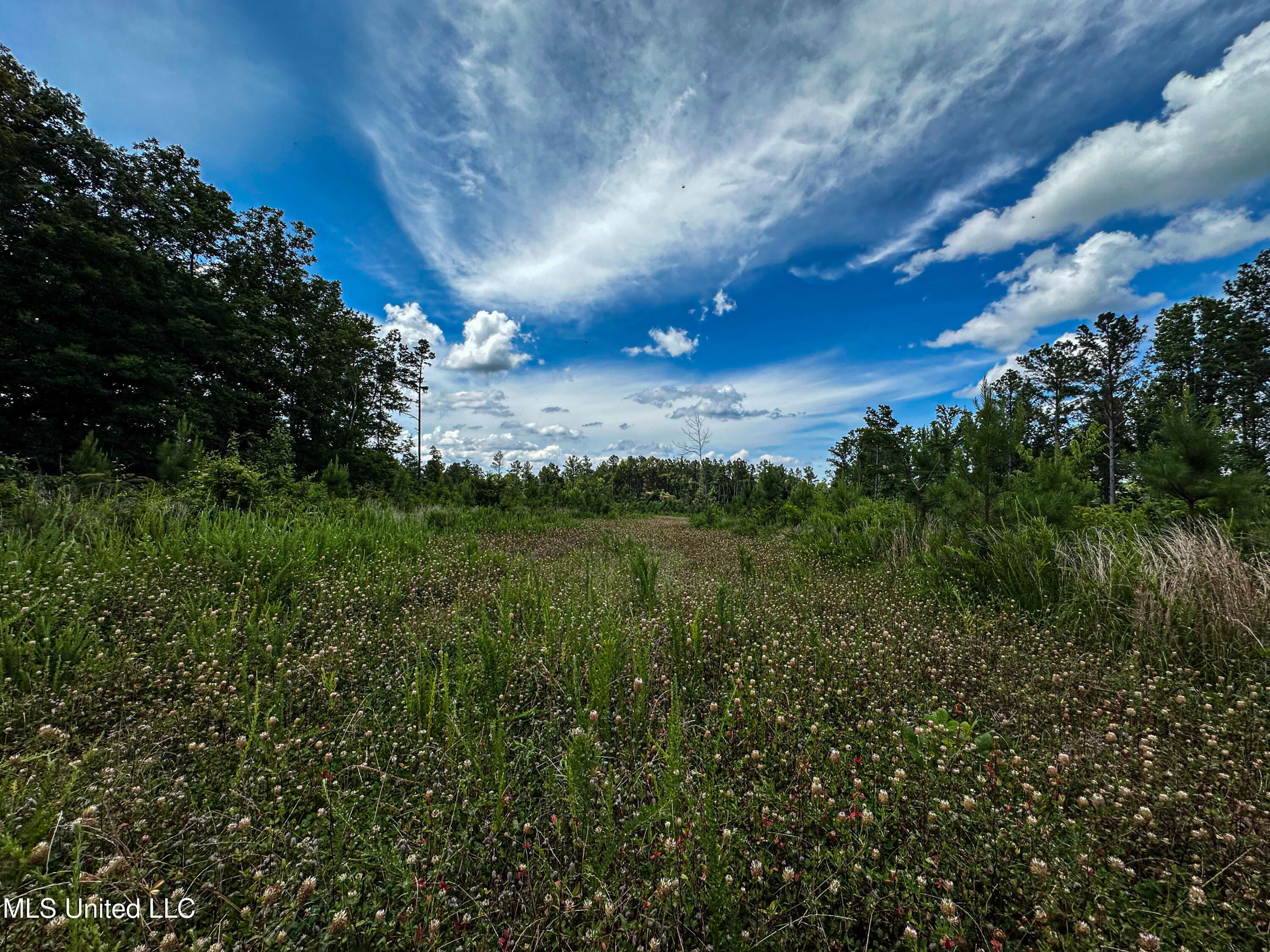 0002 Garrett Creek Loop Property Photo 28