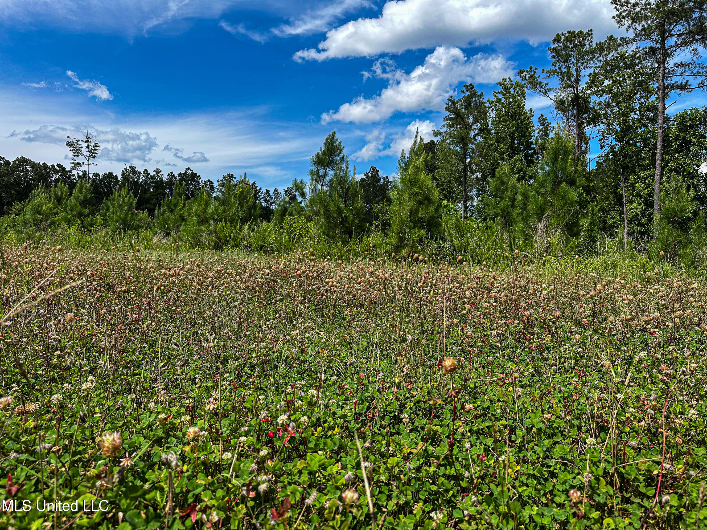 0002 Garrett Creek Loop Property Photo 30