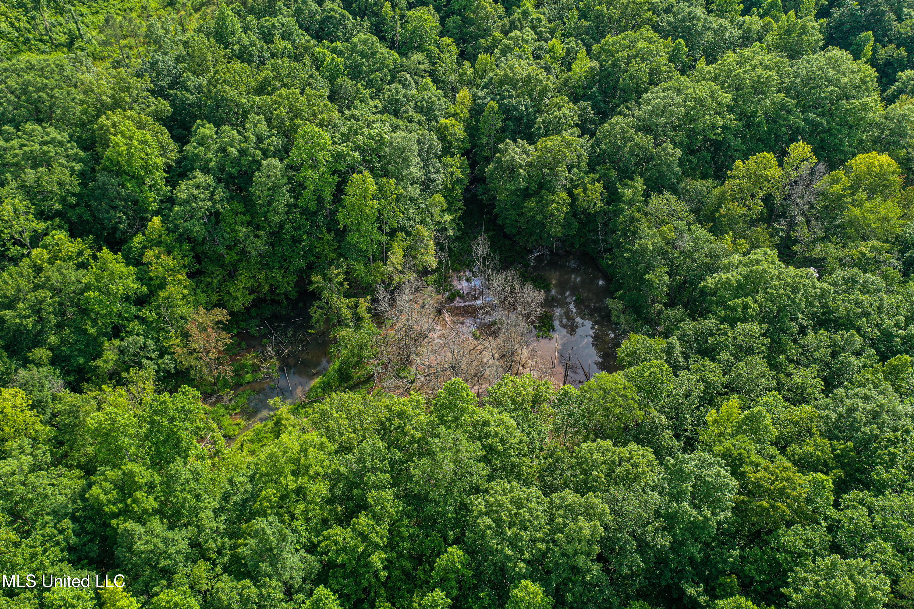 0002 Garrett Creek Loop Property Photo 31