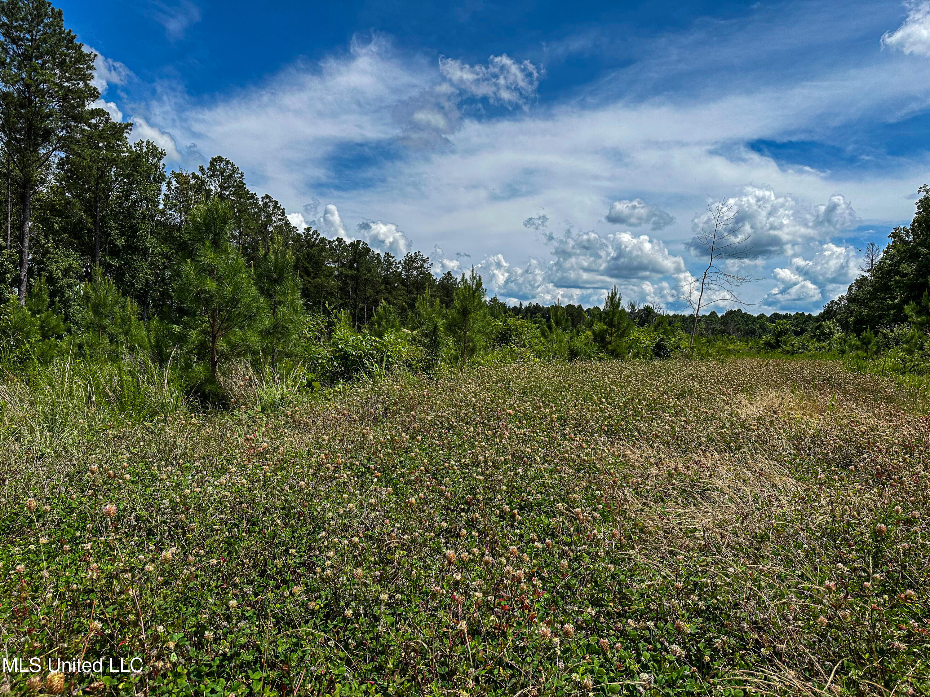 0002 Garrett Creek Loop Property Photo 32