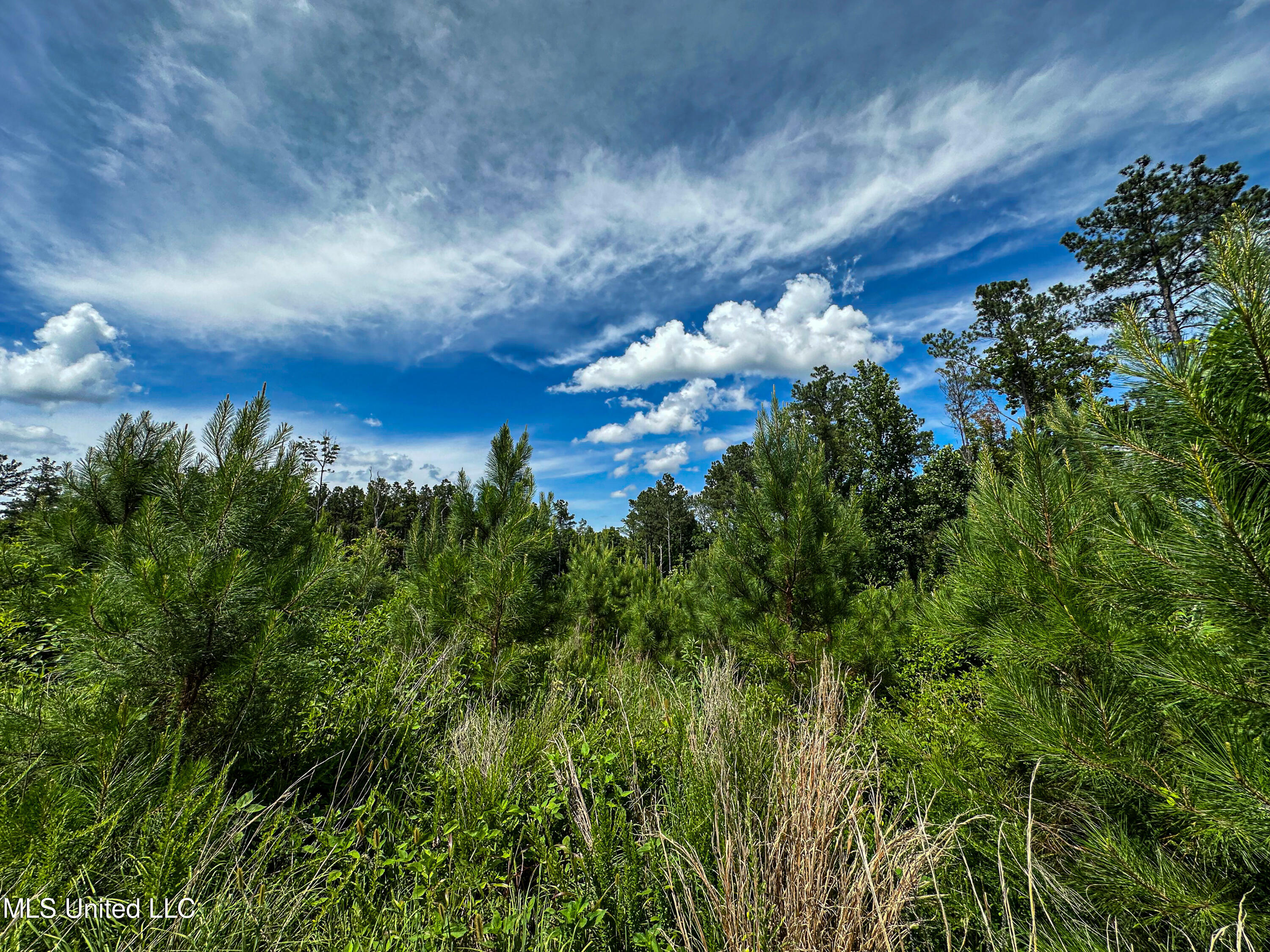 0002 Garrett Creek Loop Property Photo 34