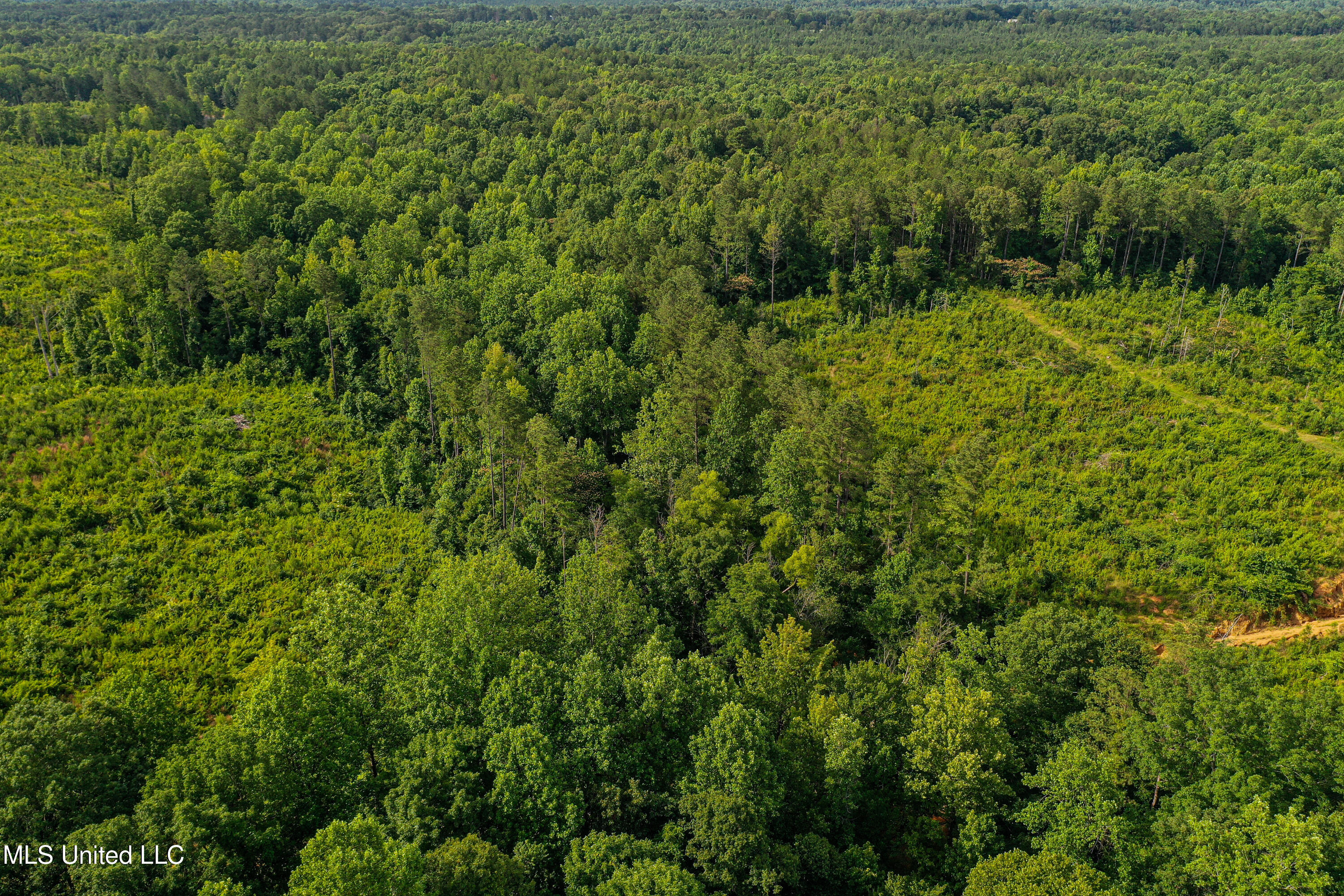 0002 Garrett Creek Loop Property Photo 39