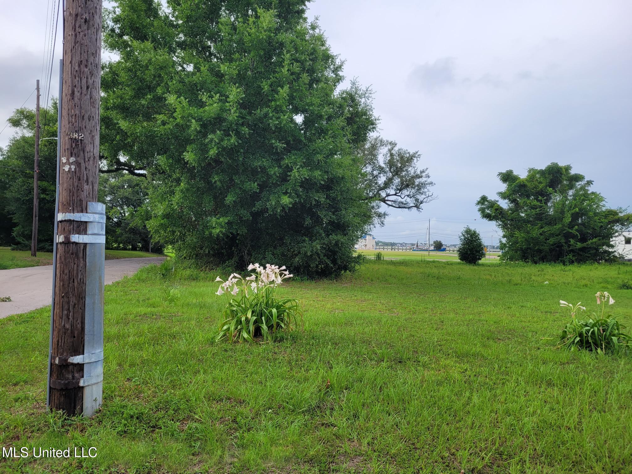 426 Heidenheim Avenue Property Photo 5