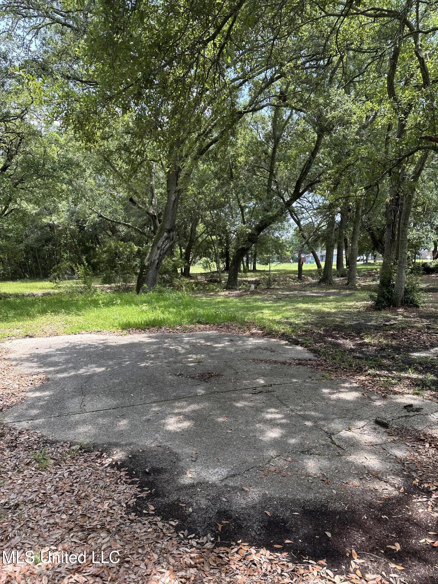 4611 Fisher Avenue Property Photo 1