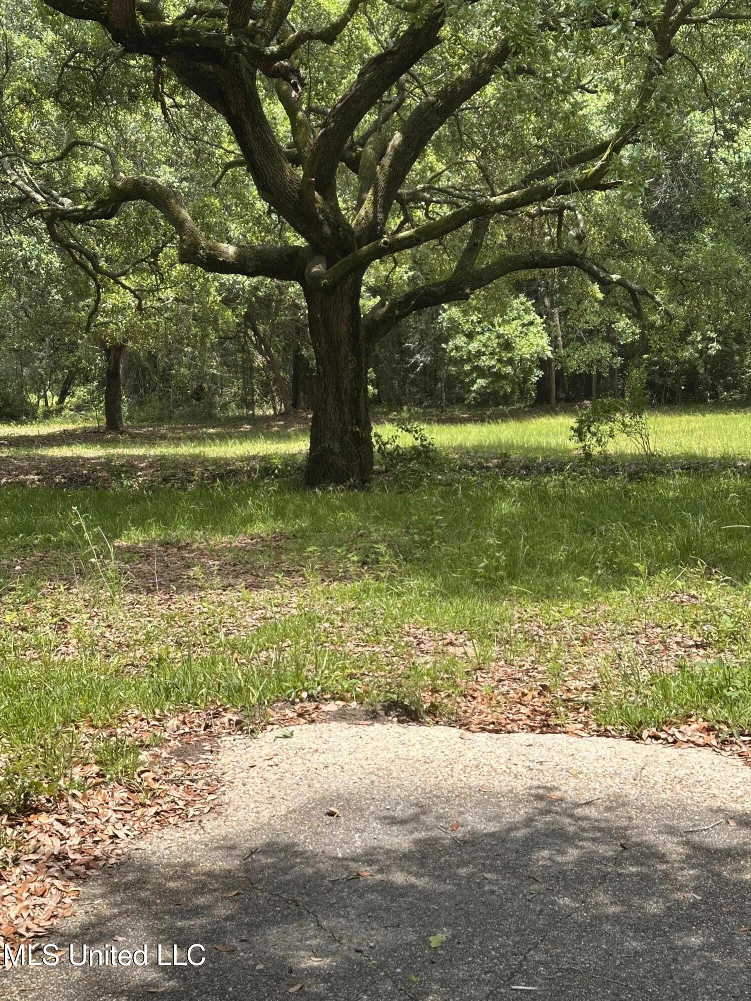 4611 Fisher Avenue Property Photo 2