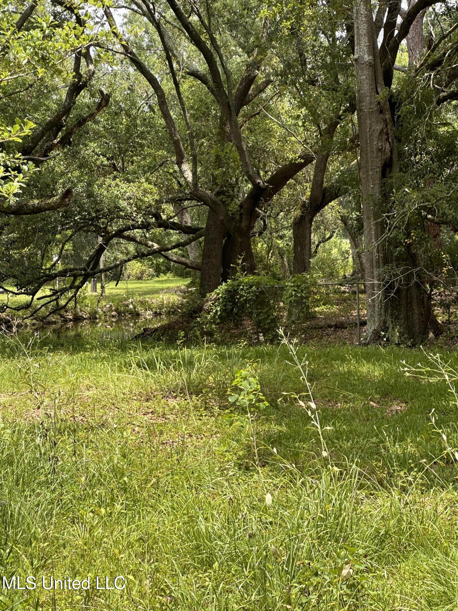 4611 Fisher Avenue Property Photo 3