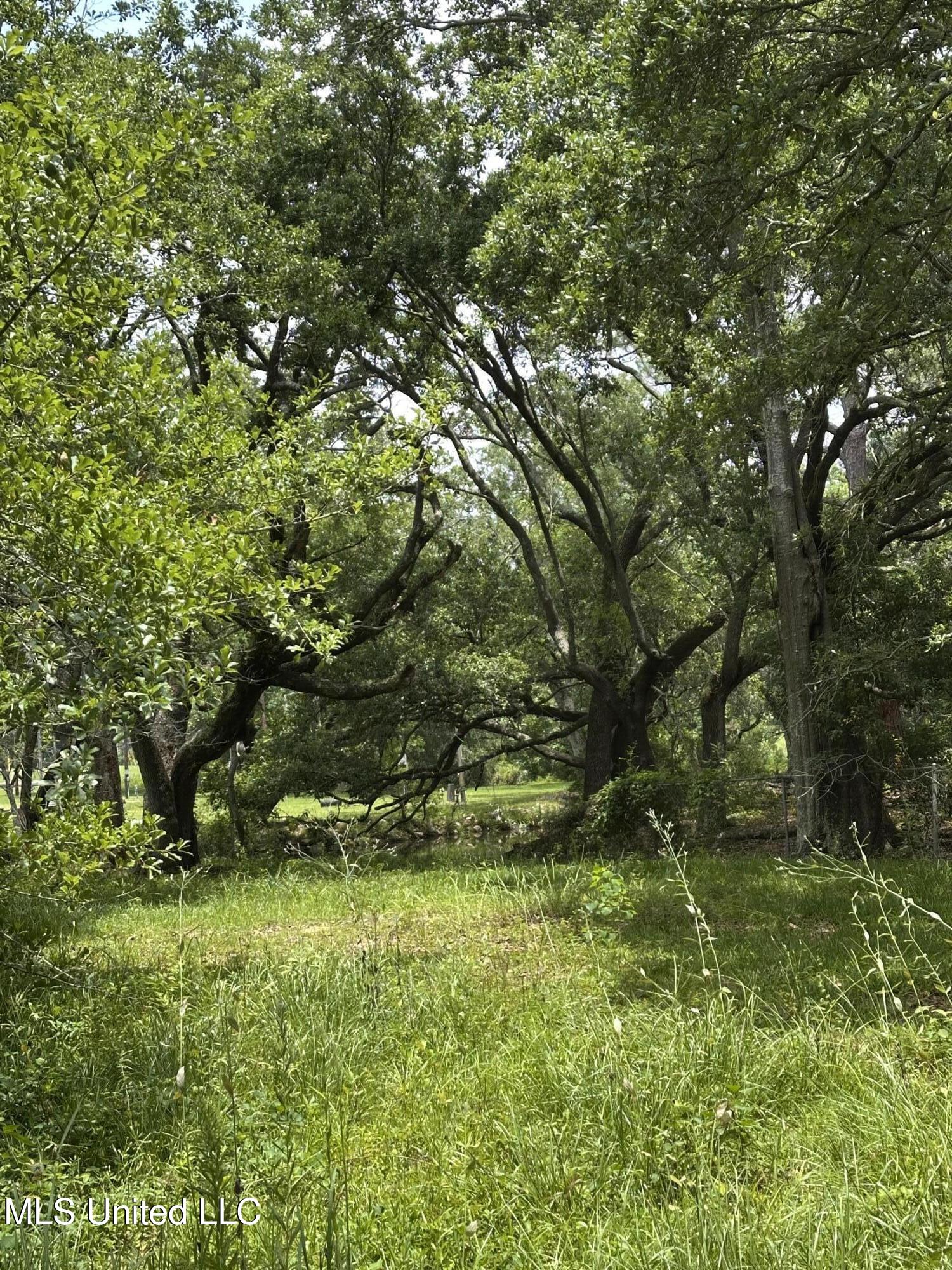 4611 Fisher Avenue Property Photo 4