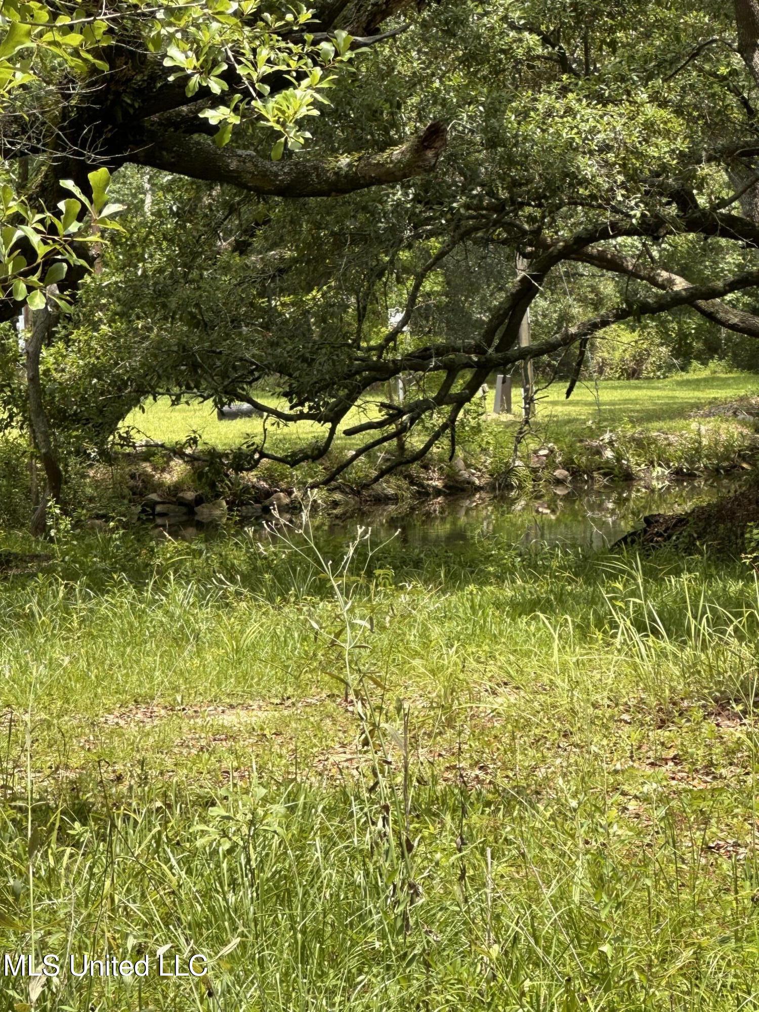 4611 Fisher Avenue Property Photo 5