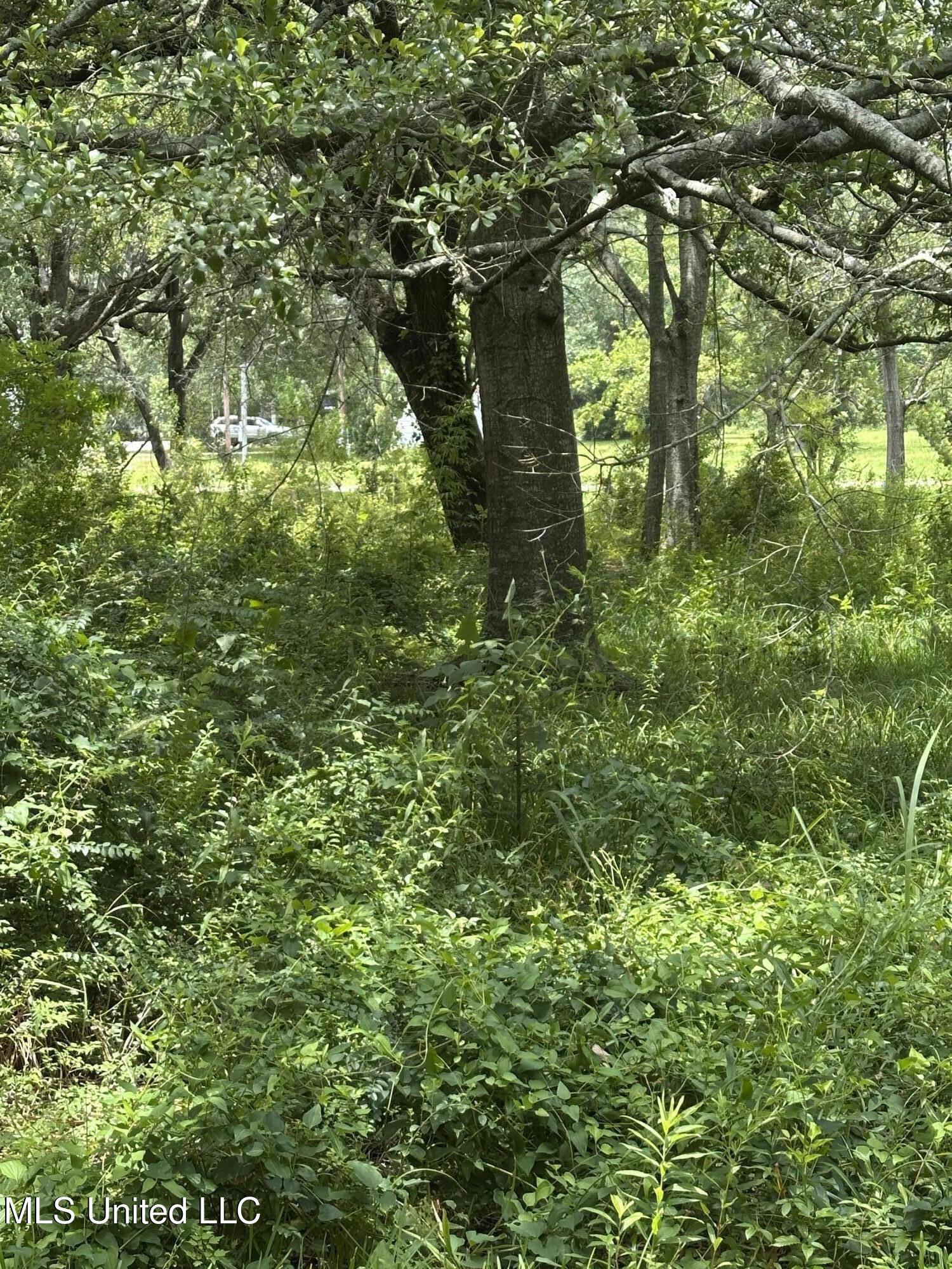 4611 Fisher Avenue Property Photo 6