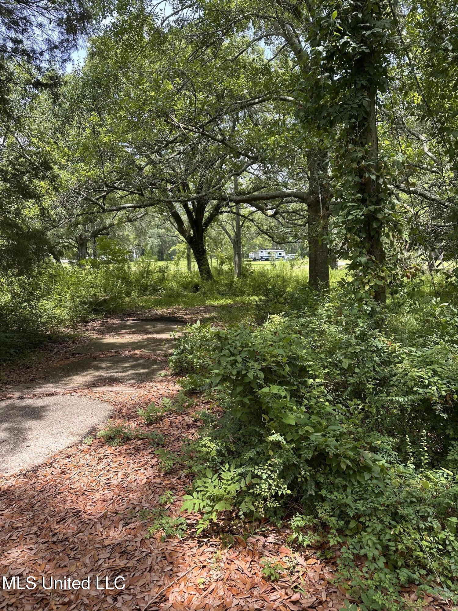 4611 Fisher Avenue Property Photo 7