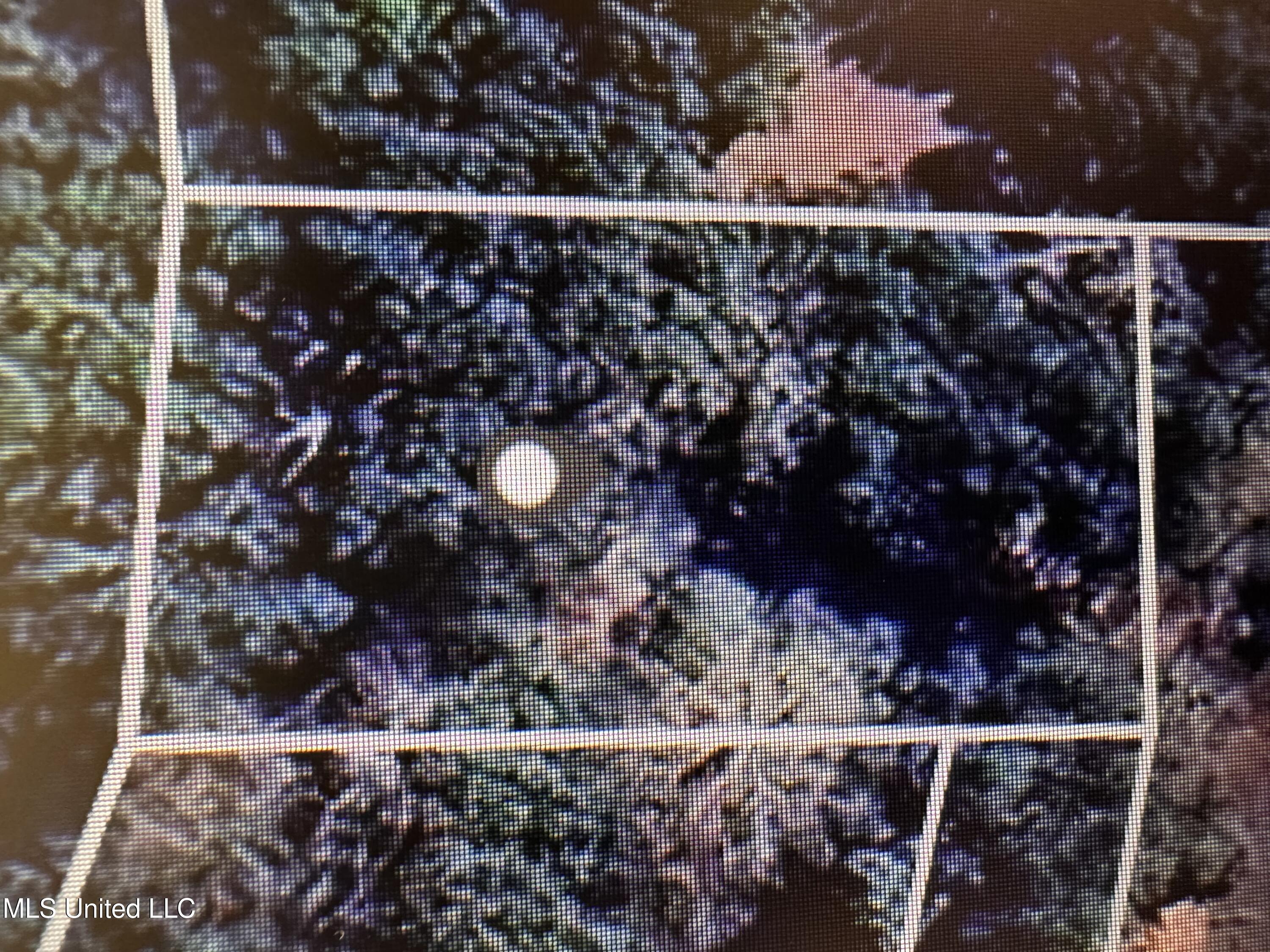 4611 Fisher Avenue Property Photo 8