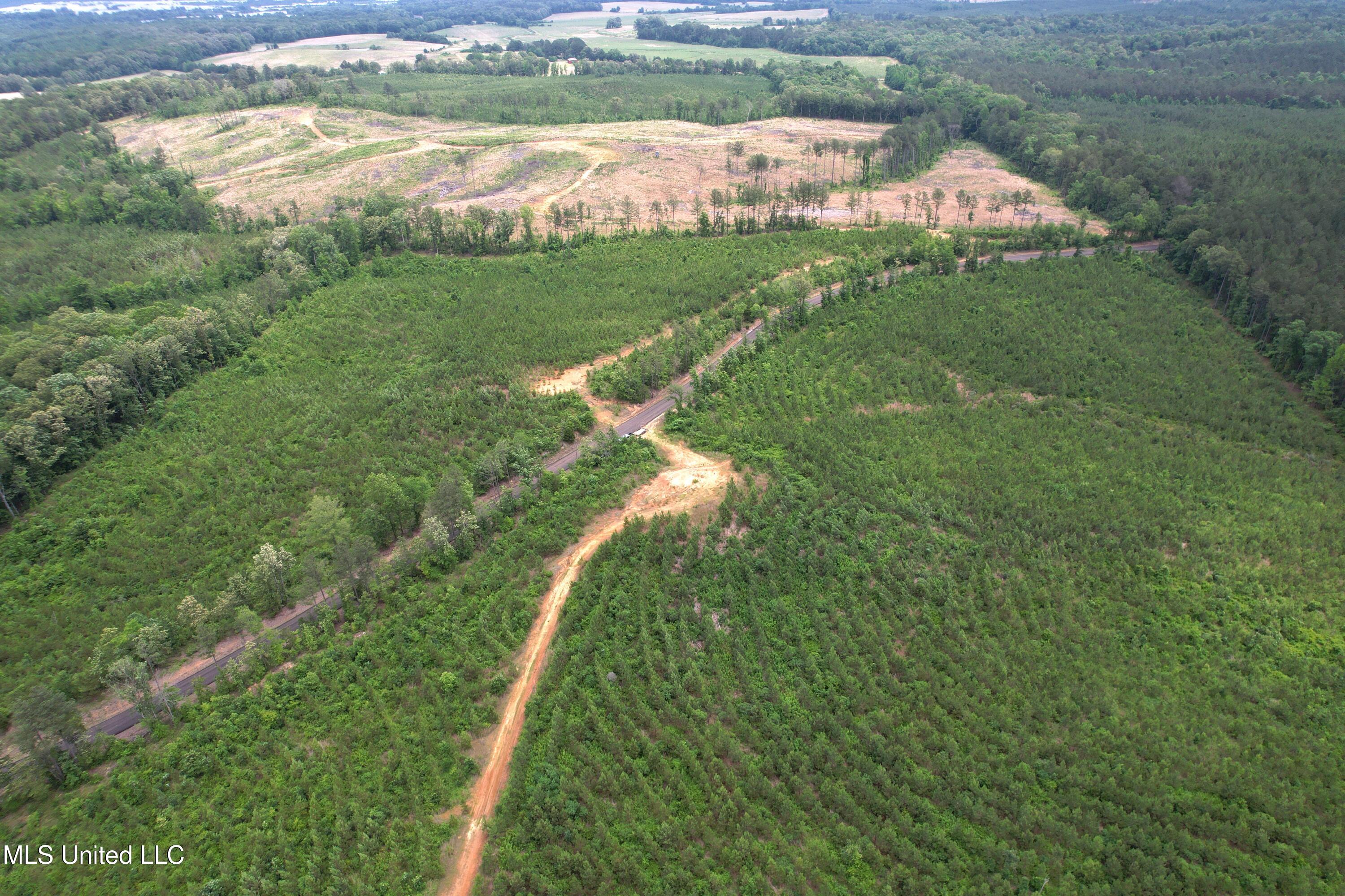 Alice Williams Road Property Photo 3