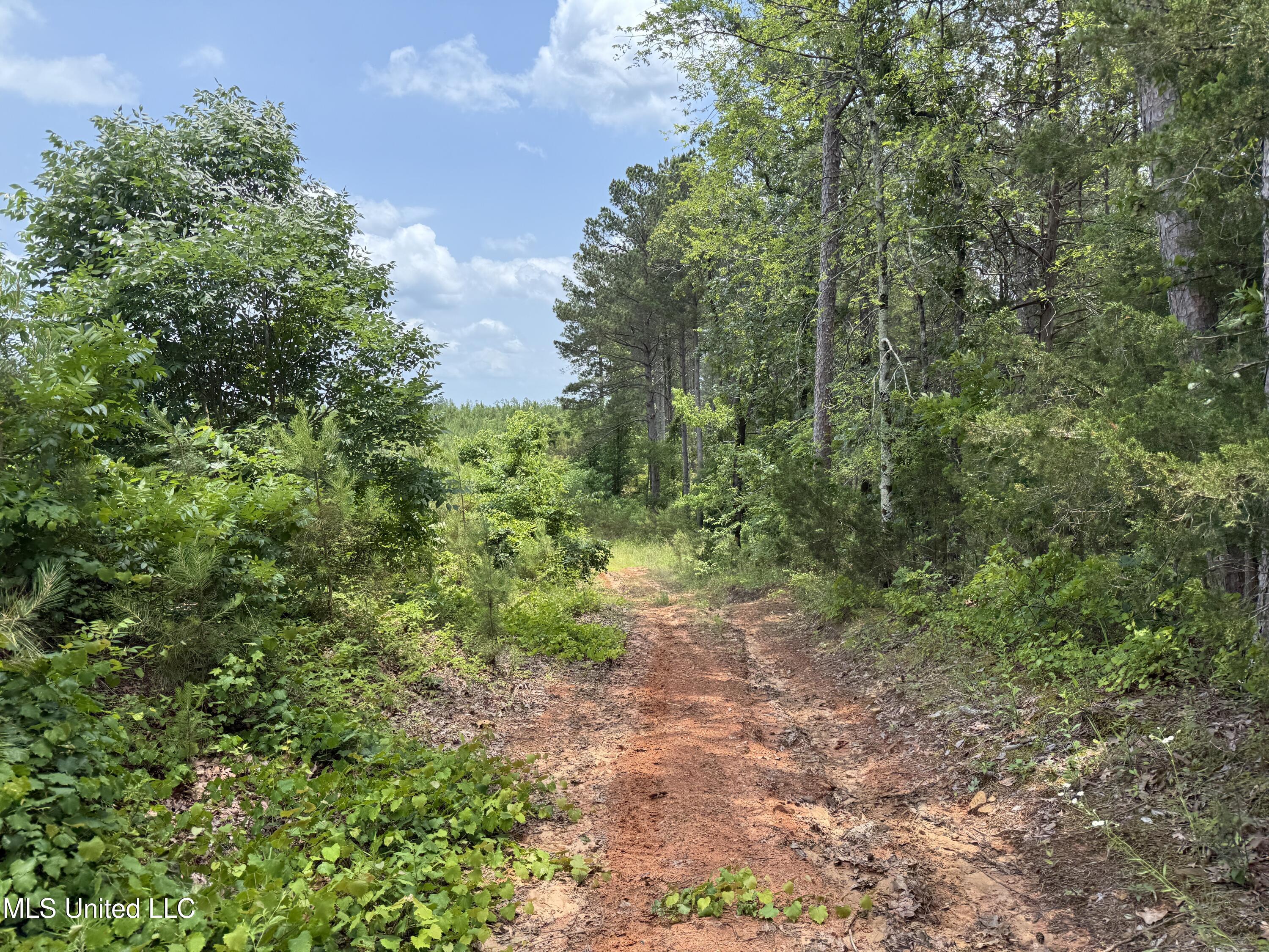 Alice Williams Road Property Photo 6