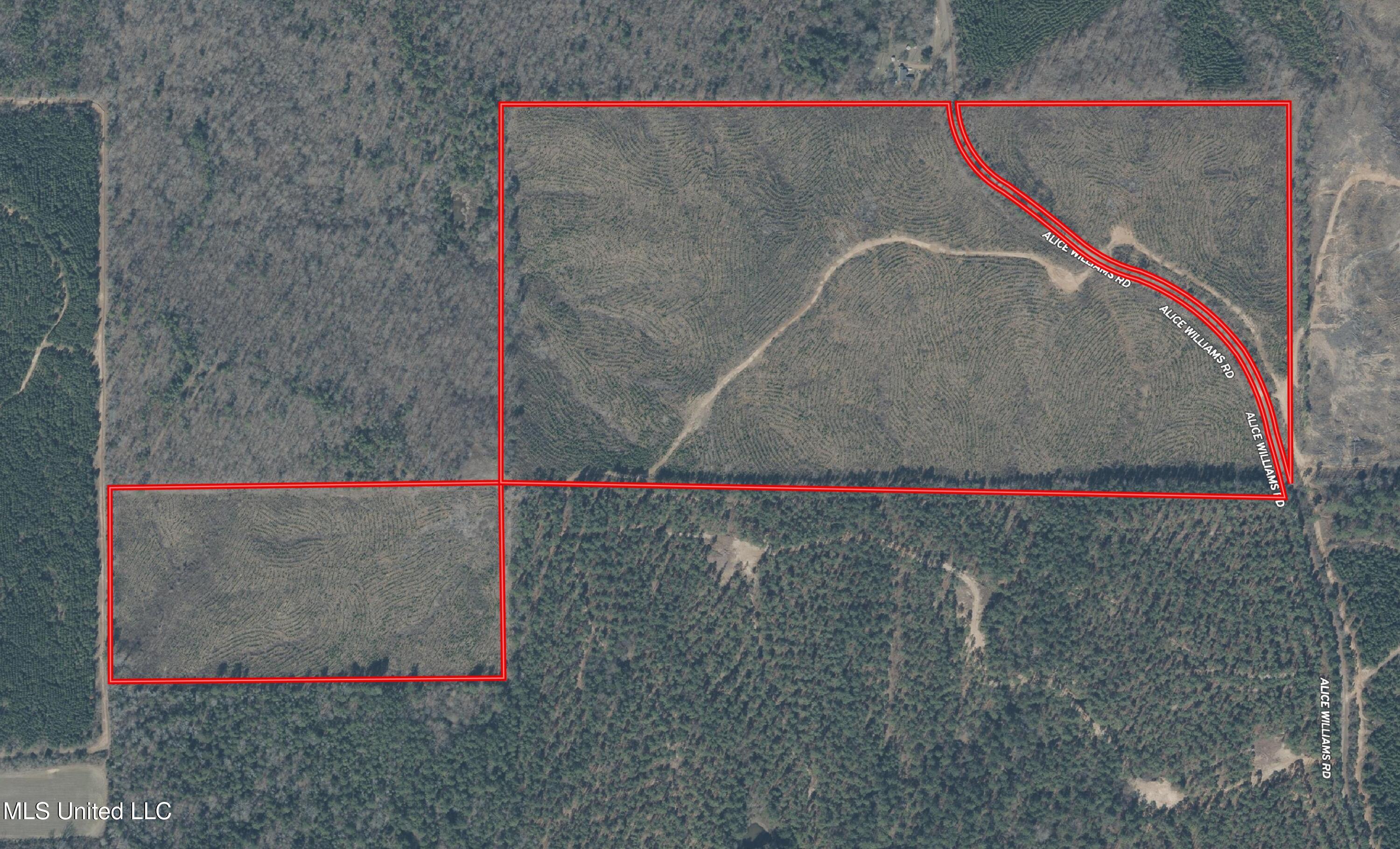 Alice Williams Road Property Photo 8