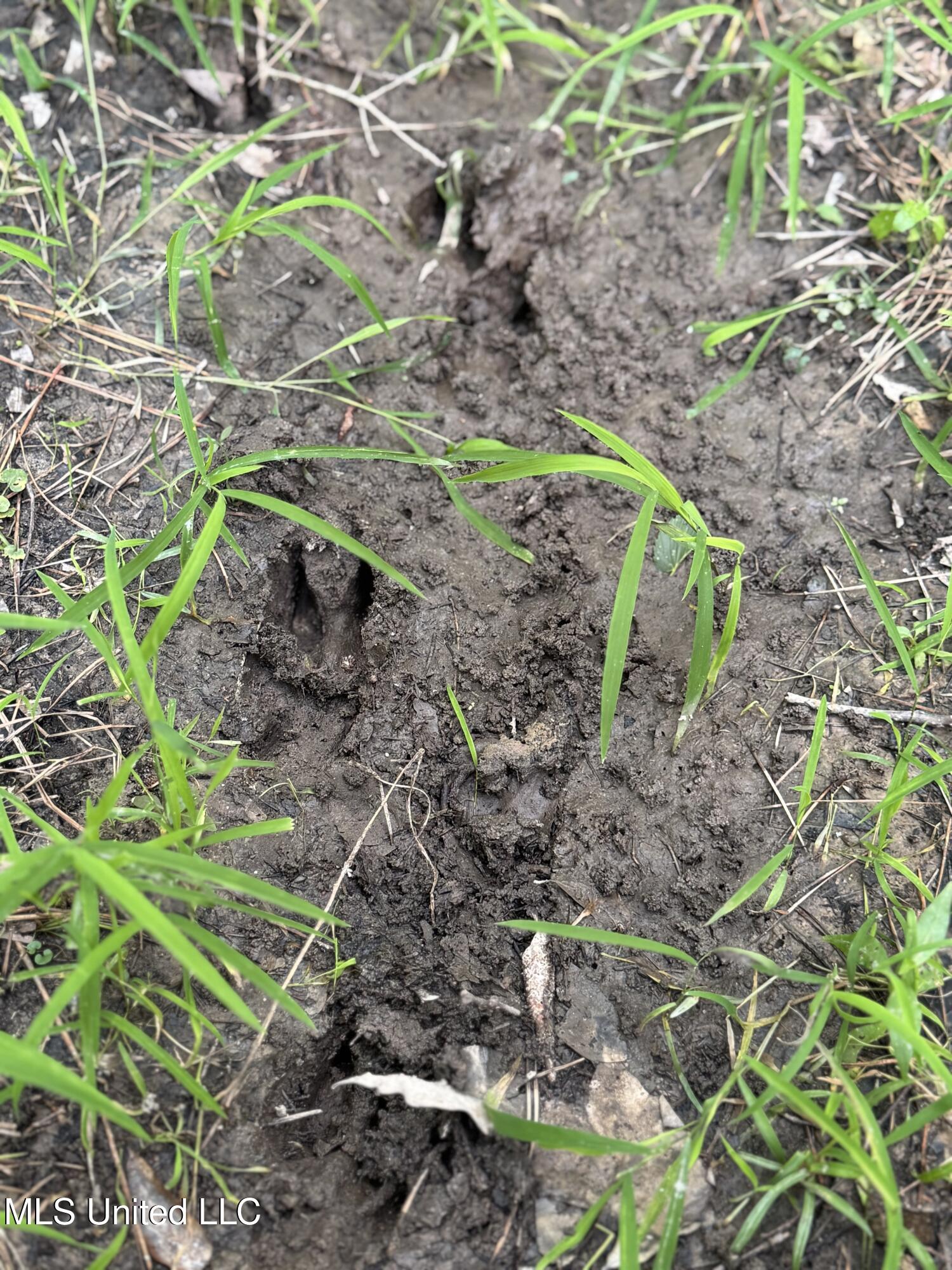 2294 Co Rd 23 Property Photo 2