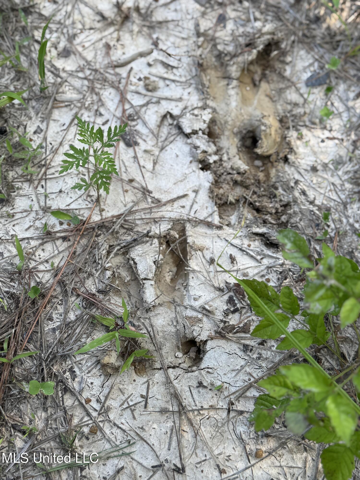 2294 Co Rd 23 Property Photo 3