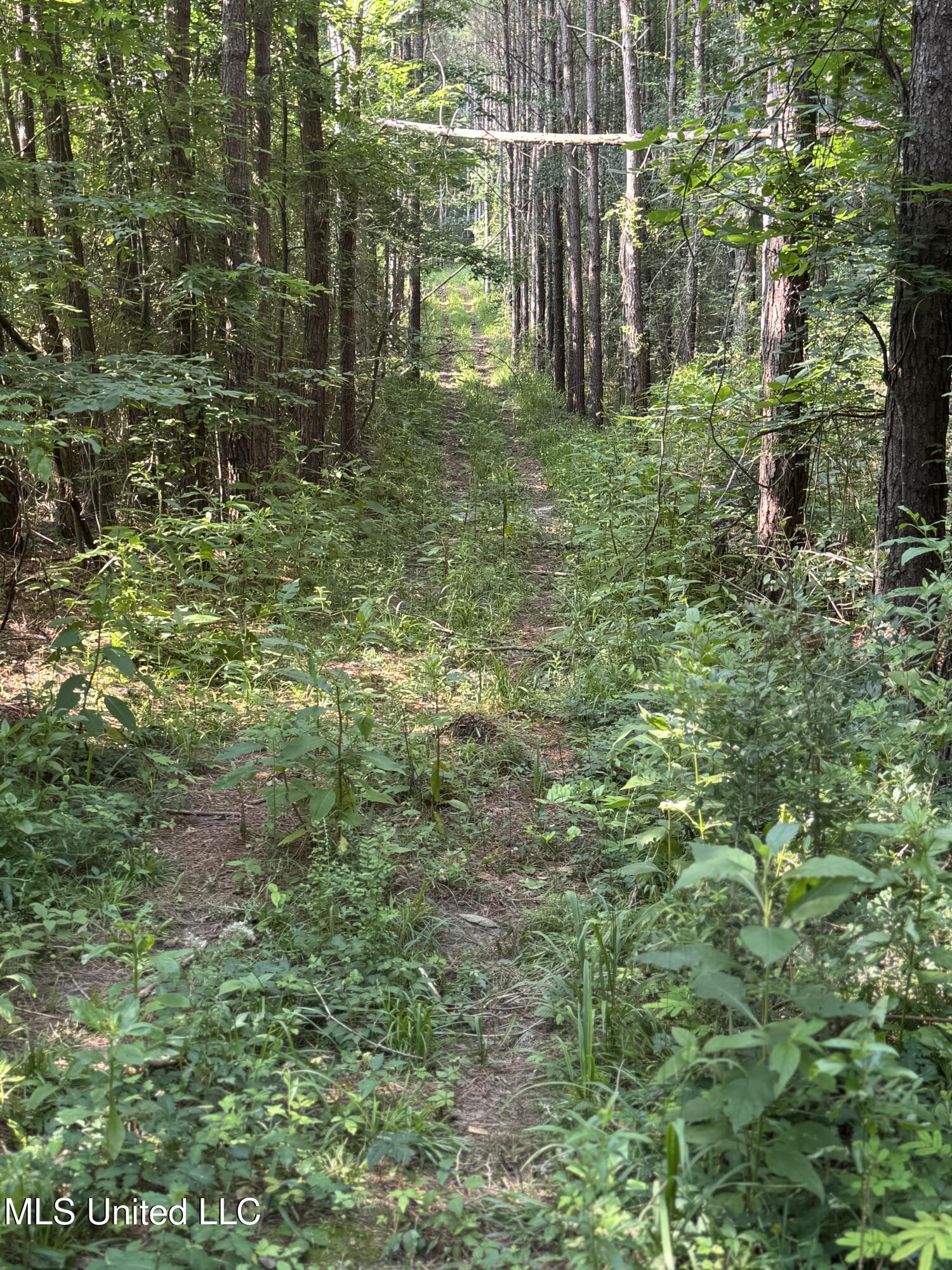 2294 Co Rd 23 Property Photo 4