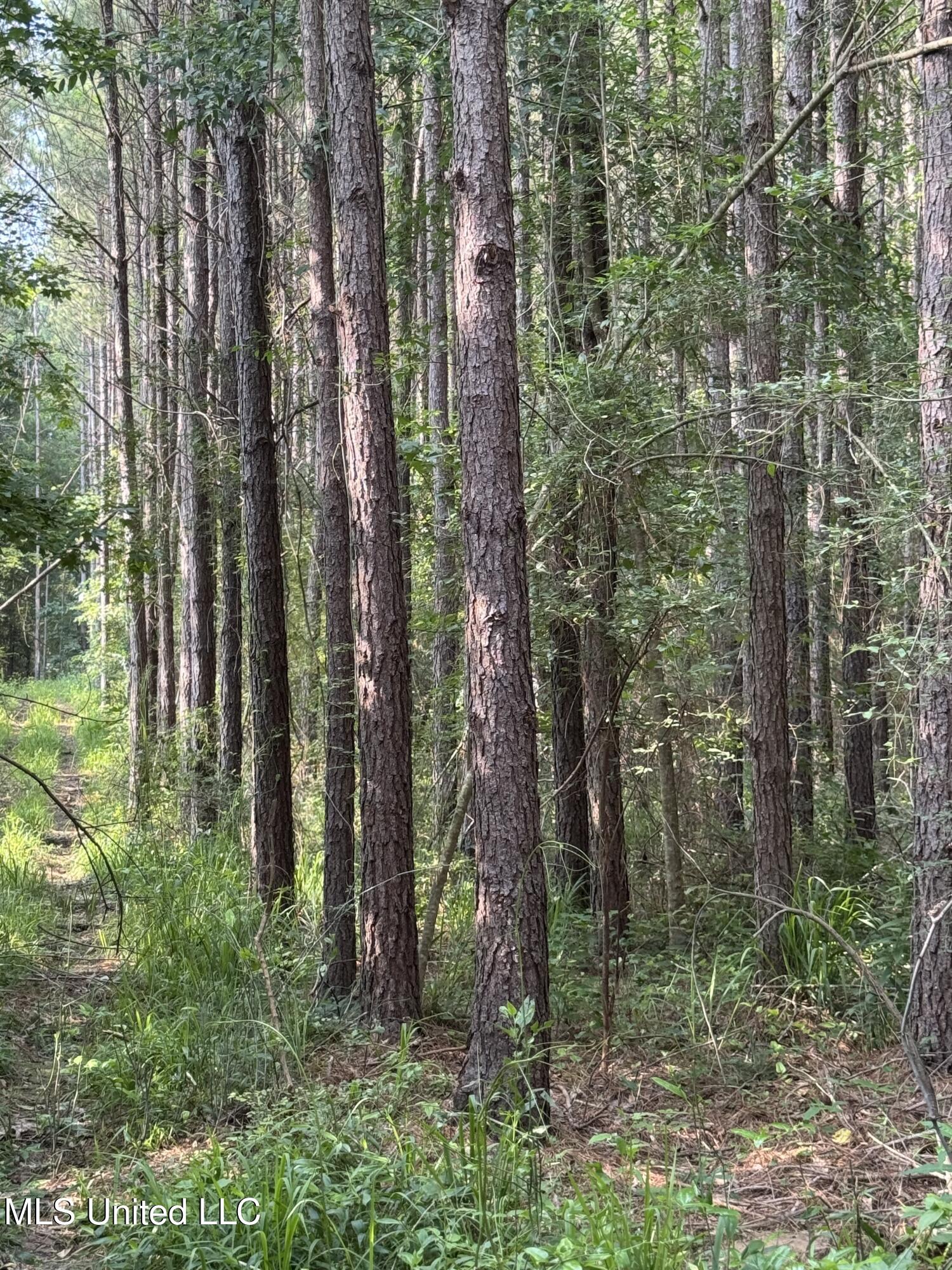 2294 Co Rd 23 Property Photo 5