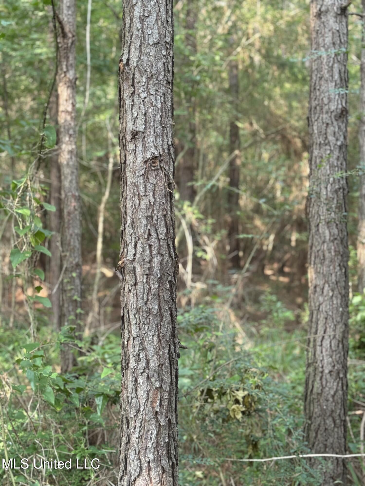 2294 Co Rd 23 Property Photo 6