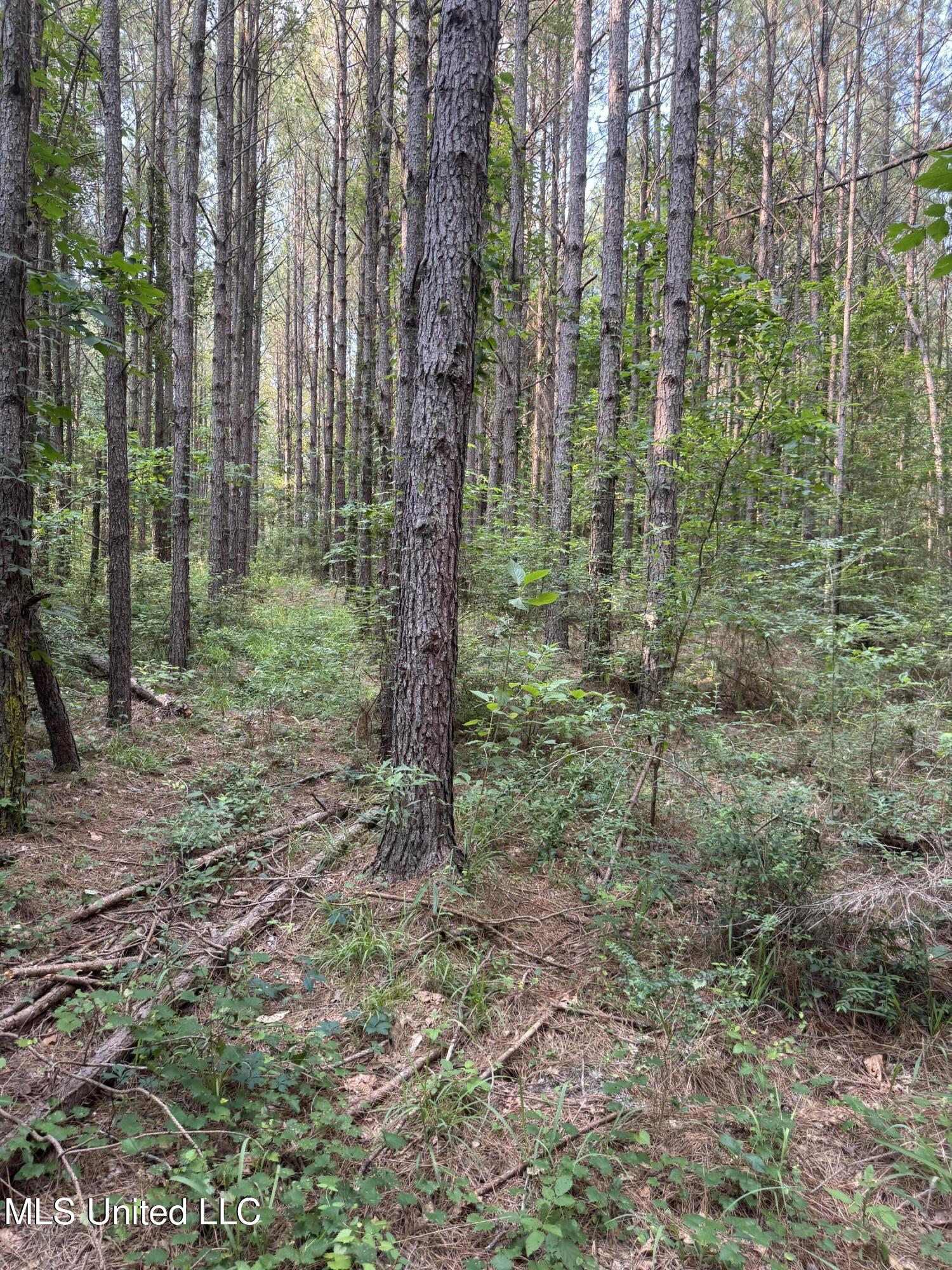 2294 Co Rd 23 Property Photo 7