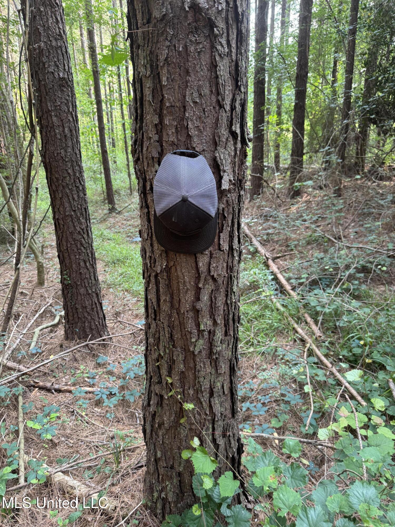 2294 Co Rd 23 Property Photo 8