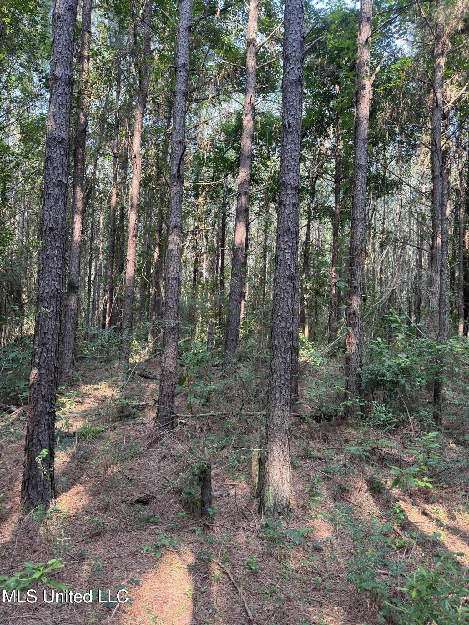 2294 Co Rd 23 Property Photo 9