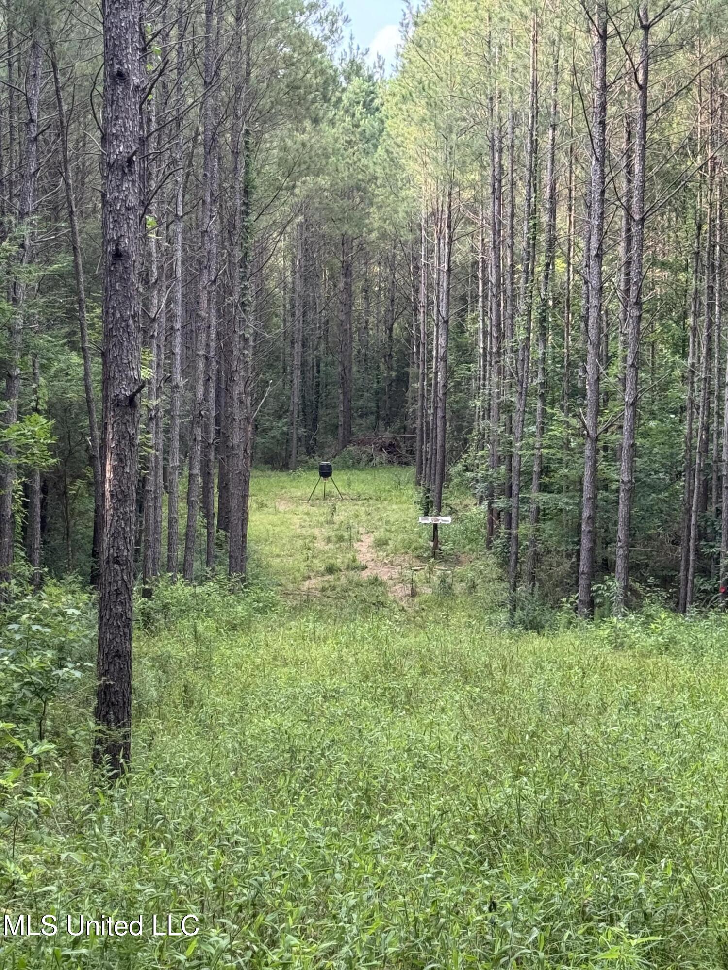 2294 Co Rd 23 Property Photo 12