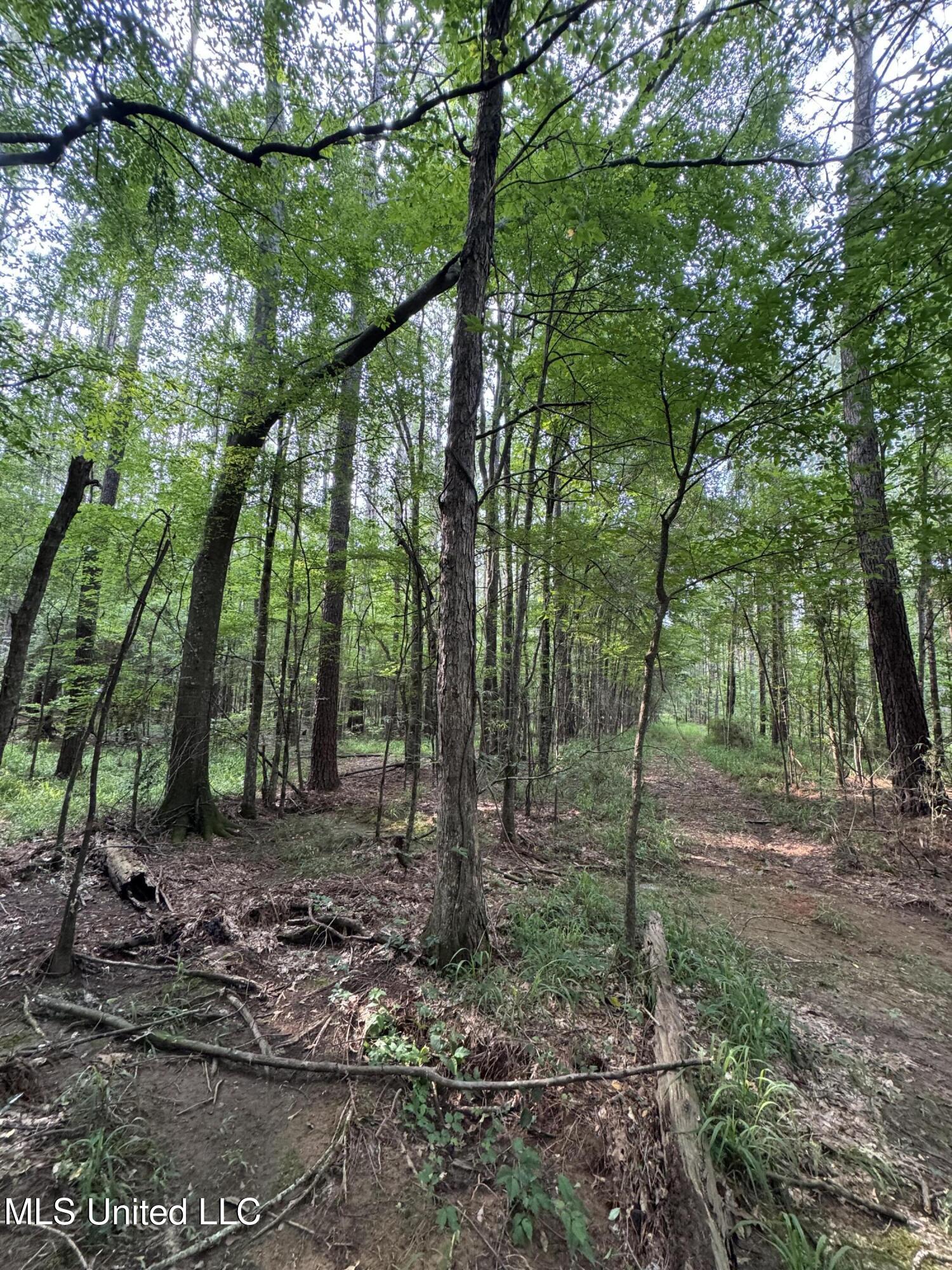 2294 Co Rd 23 Property Photo 13