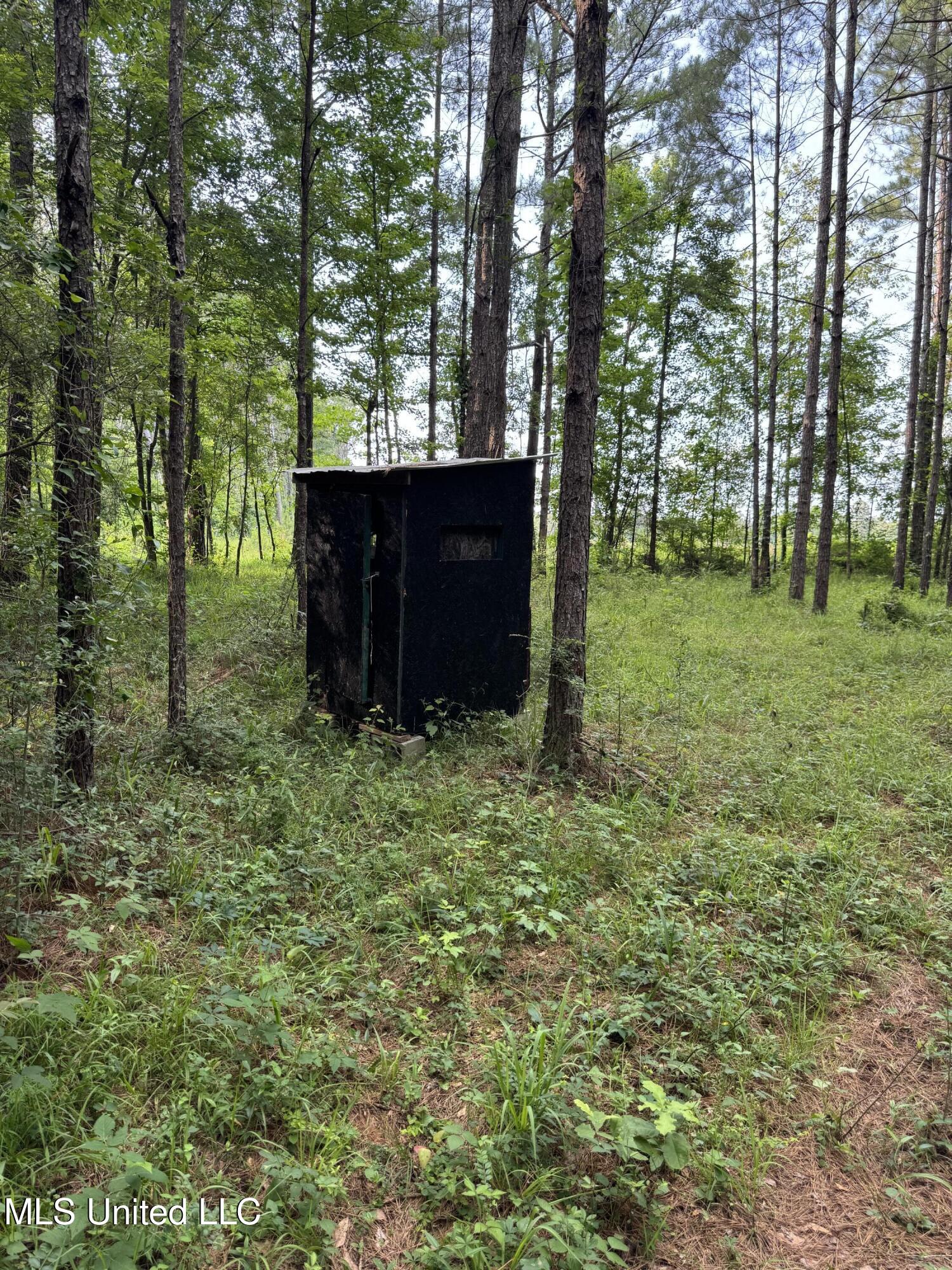 2294 Co Rd 23 Property Photo 14