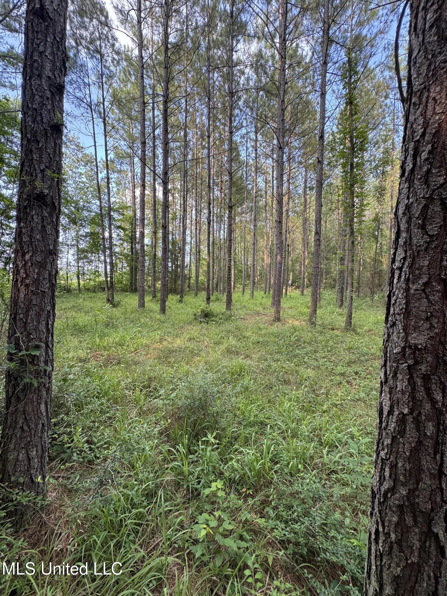 2294 Co Rd 23 Property Photo 16