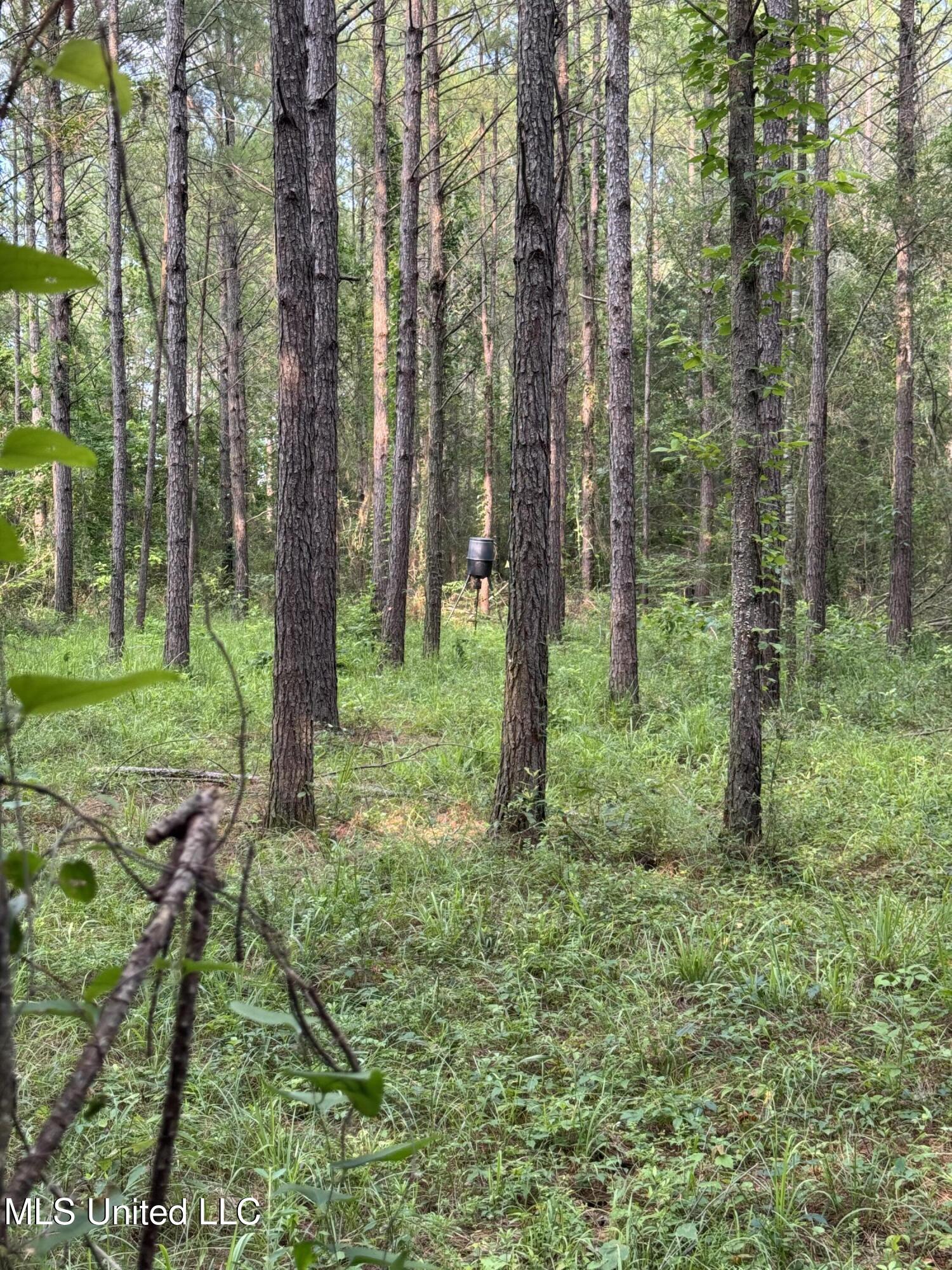 2294 Co Rd 23 Property Photo 17