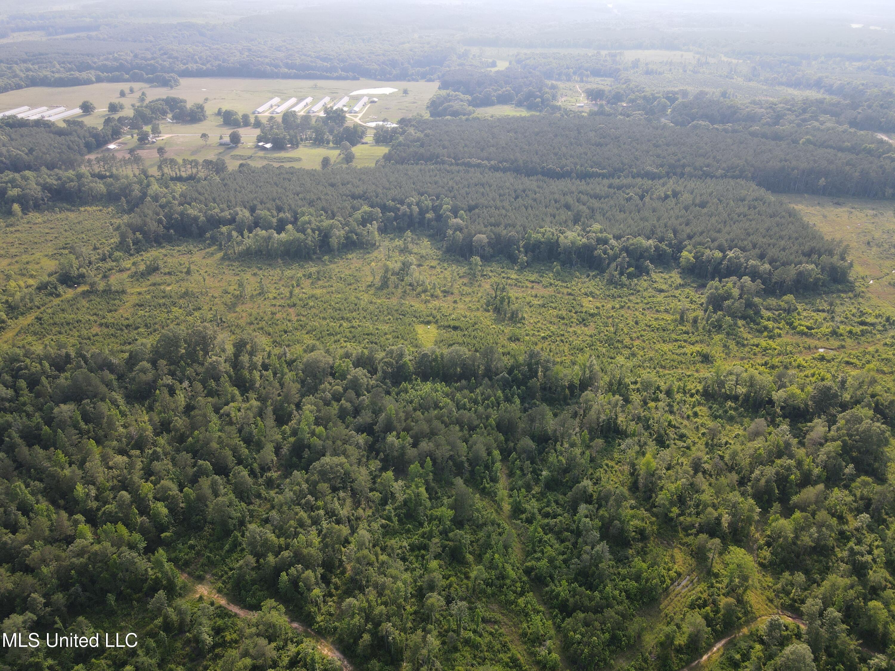 2294 Co Rd 23 Property Photo 22