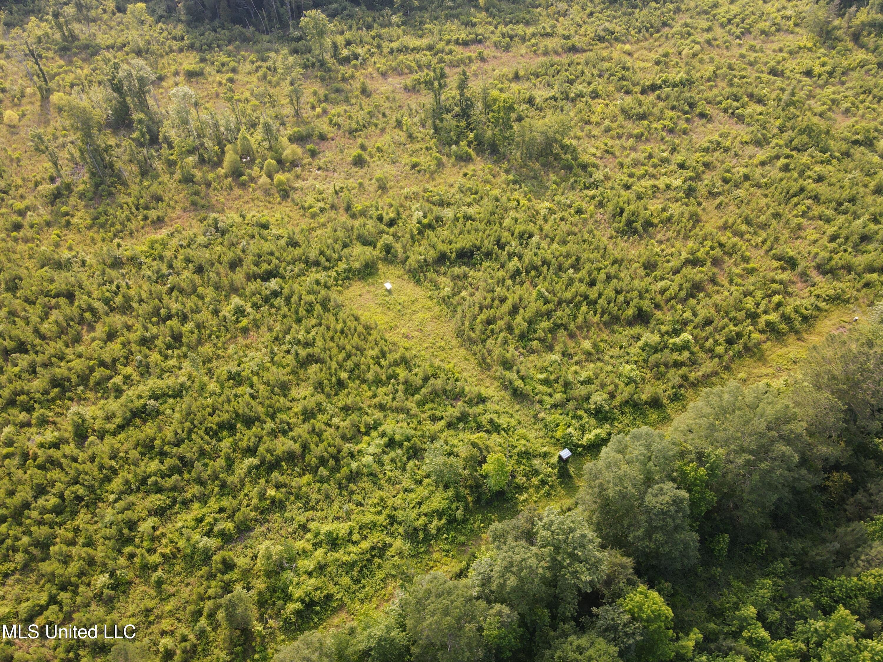 2294 Co Rd 23 Property Photo 23