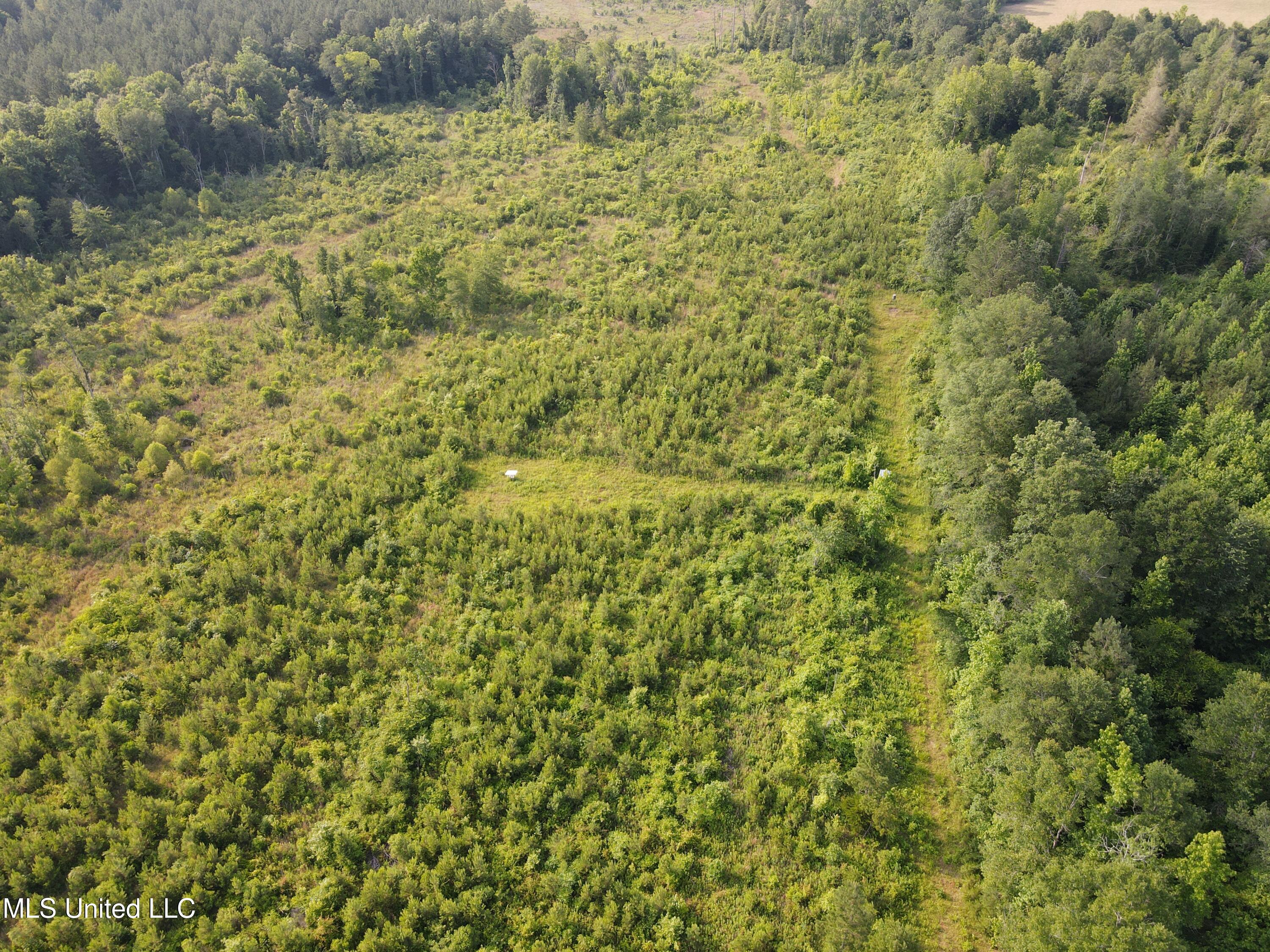 2294 Co Rd 23 Property Photo 24