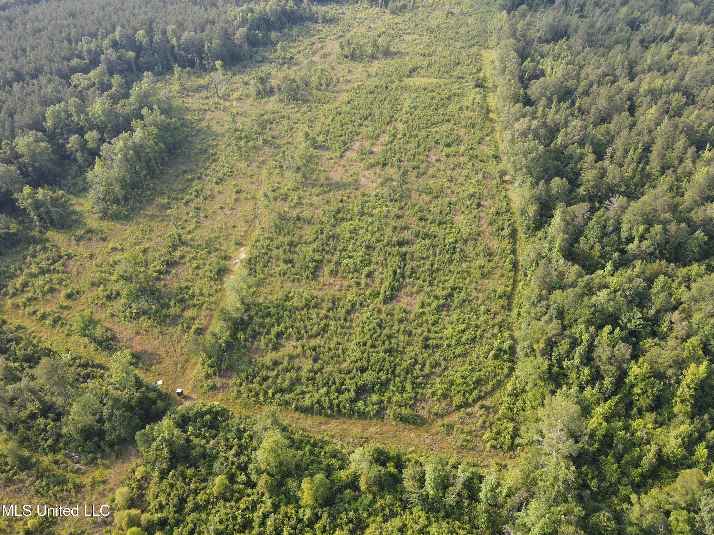 2294 Co Rd 23 Property Photo 25