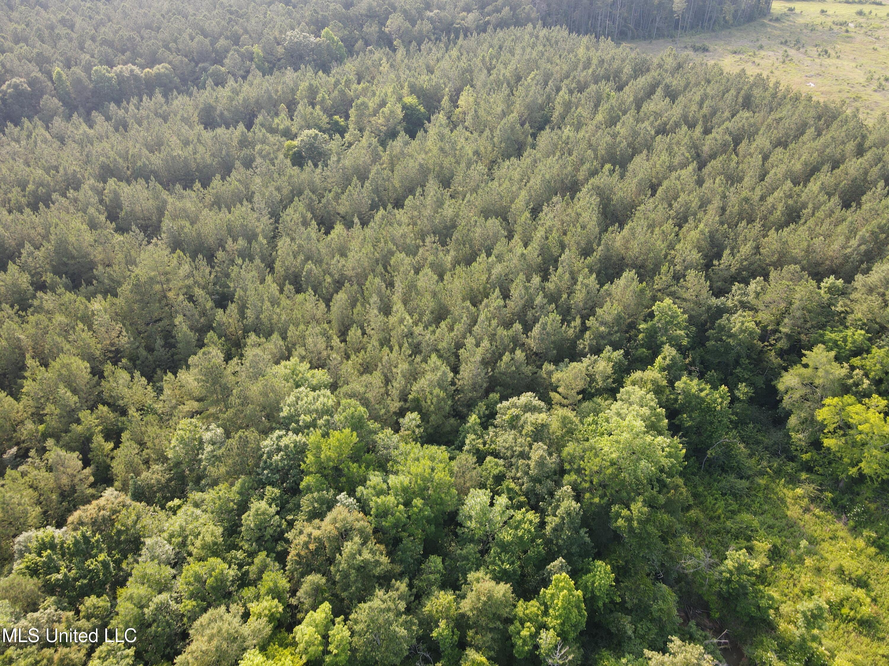 2294 Co Rd 23 Property Photo 27