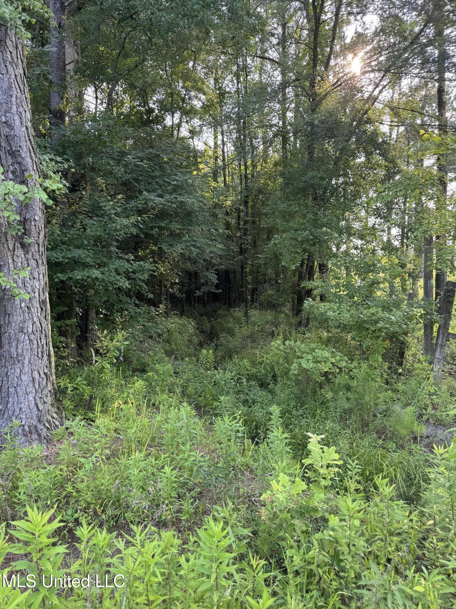 2294 Co Rd 23 Property Photo 28