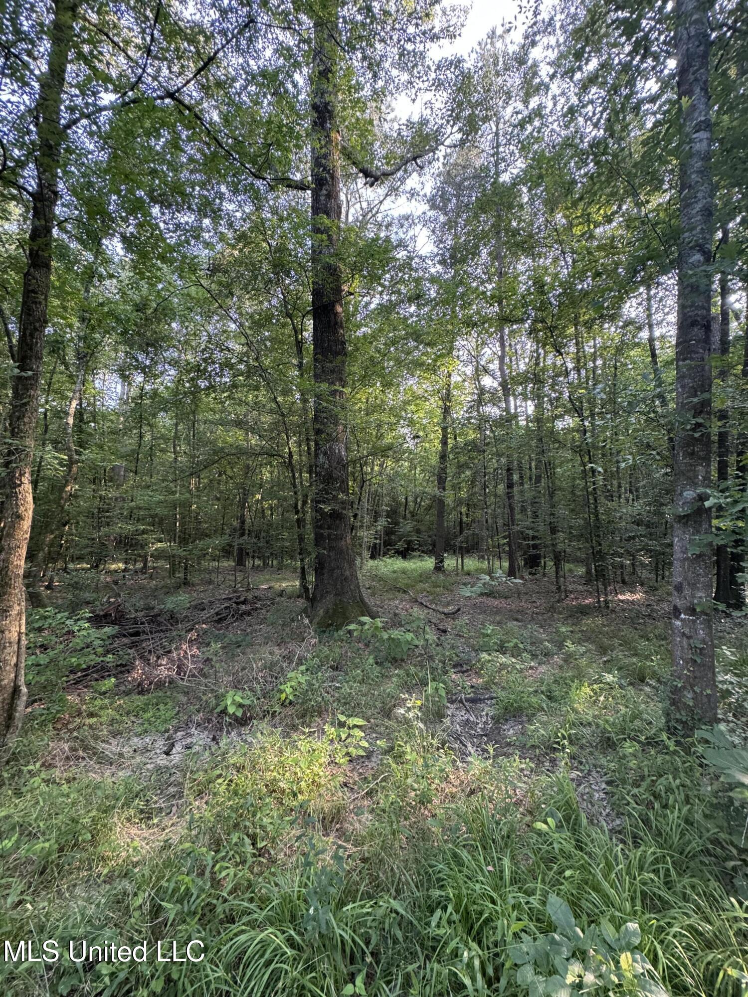 2294 Co Rd 23 Property Photo 29