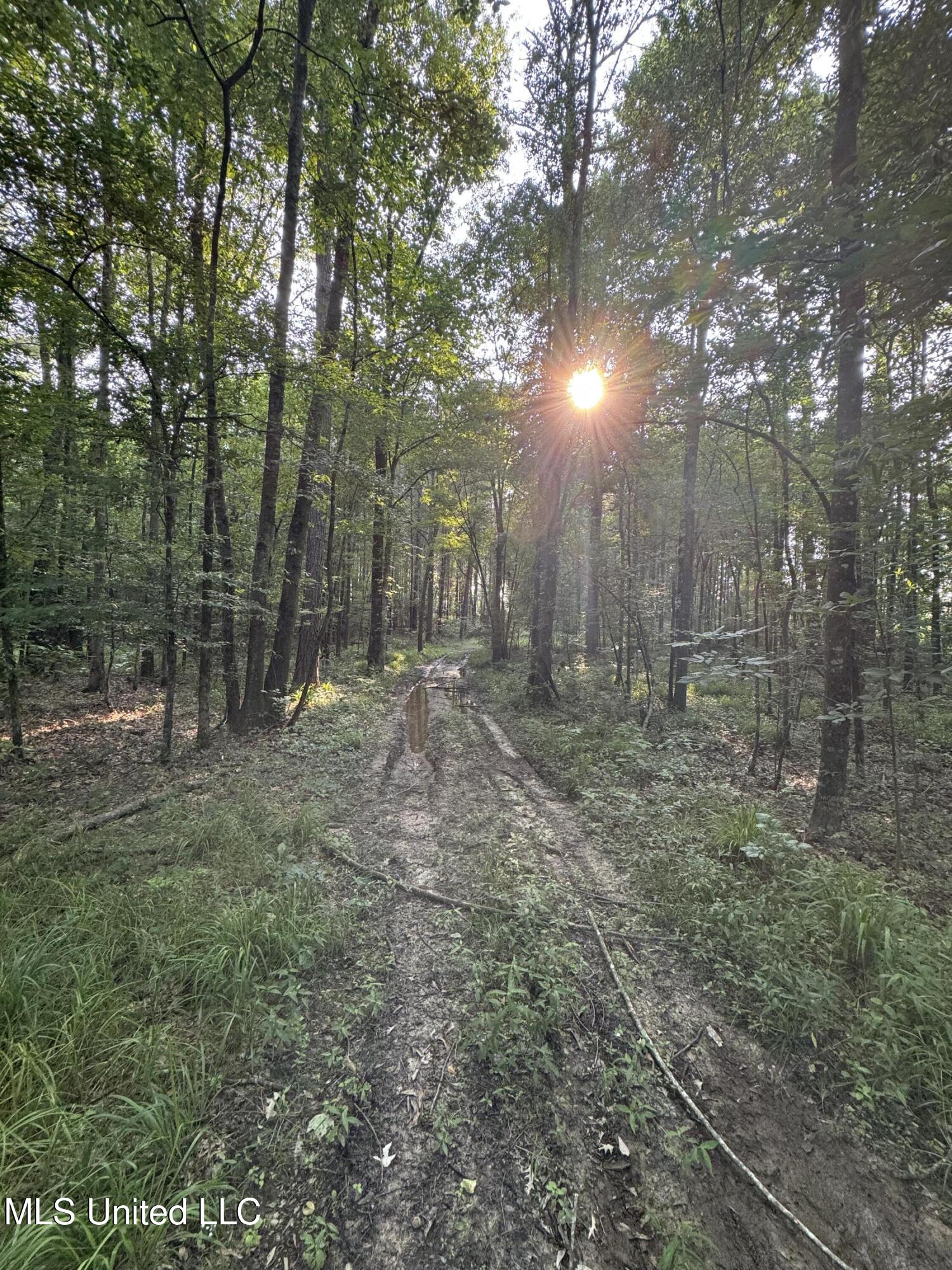 2294 Co Rd 23 Property Photo 30